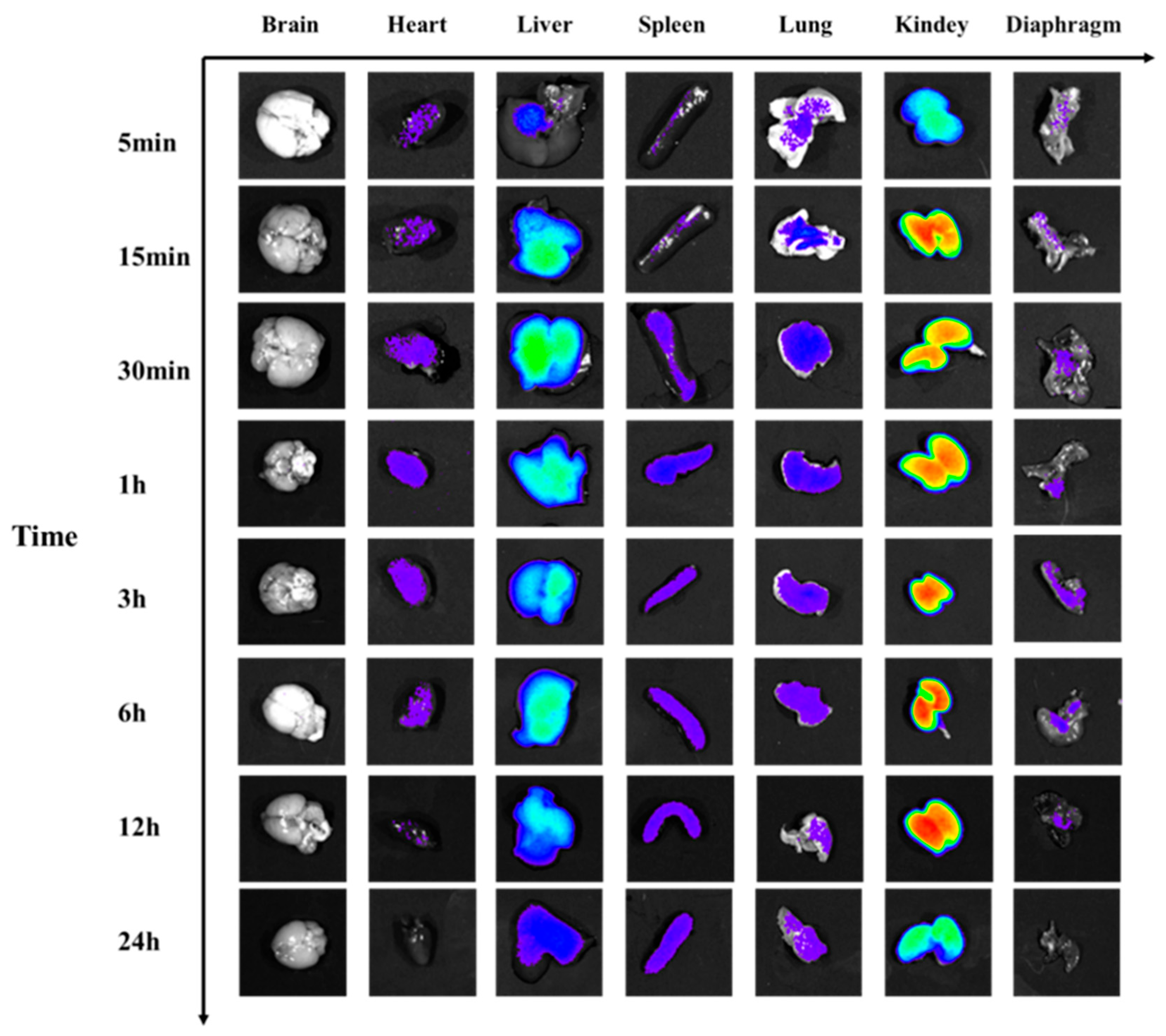 Toxins 17 00559 g009 Toxins 17 00559 g009