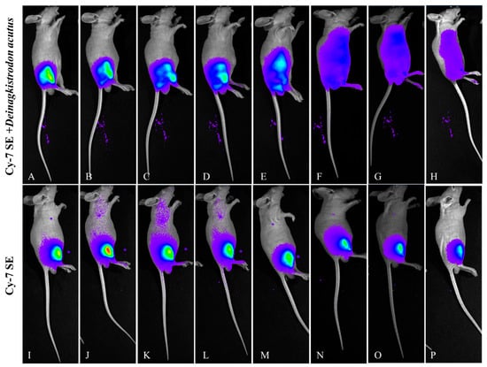 Toxins 17 00559 g011