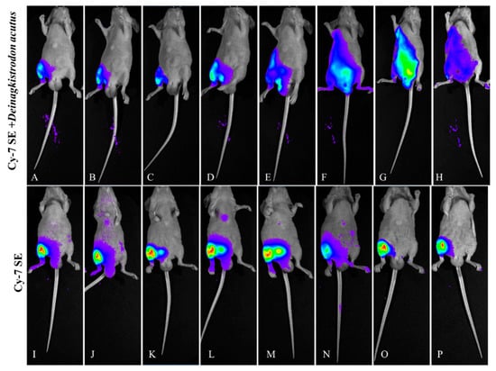 Toxins 17 00559 g012