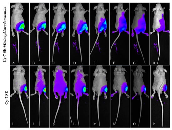 Toxins 17 00559 g013