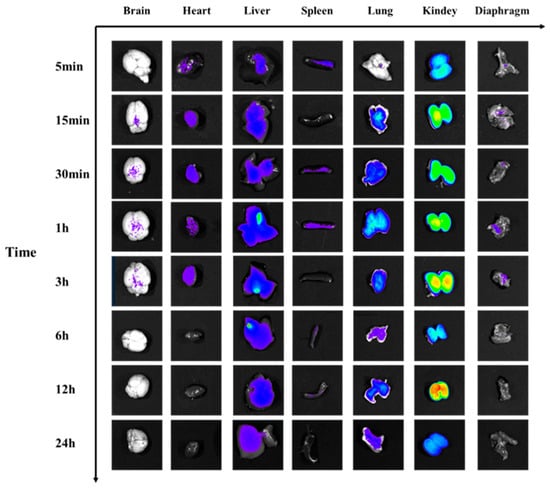 Toxins 17 00559 g014