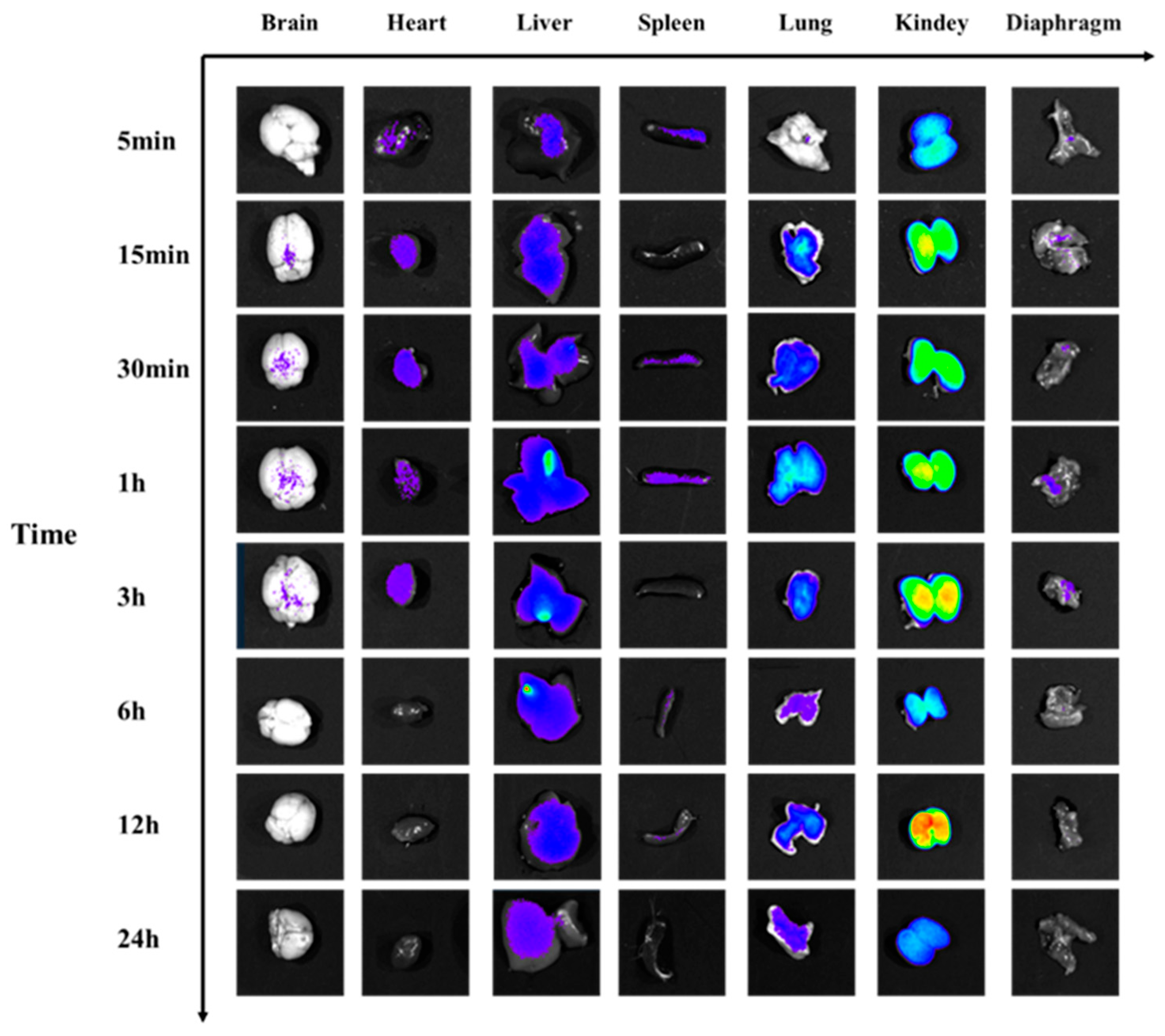 Toxins 17 00559 g014 Toxins 17 00559 g014