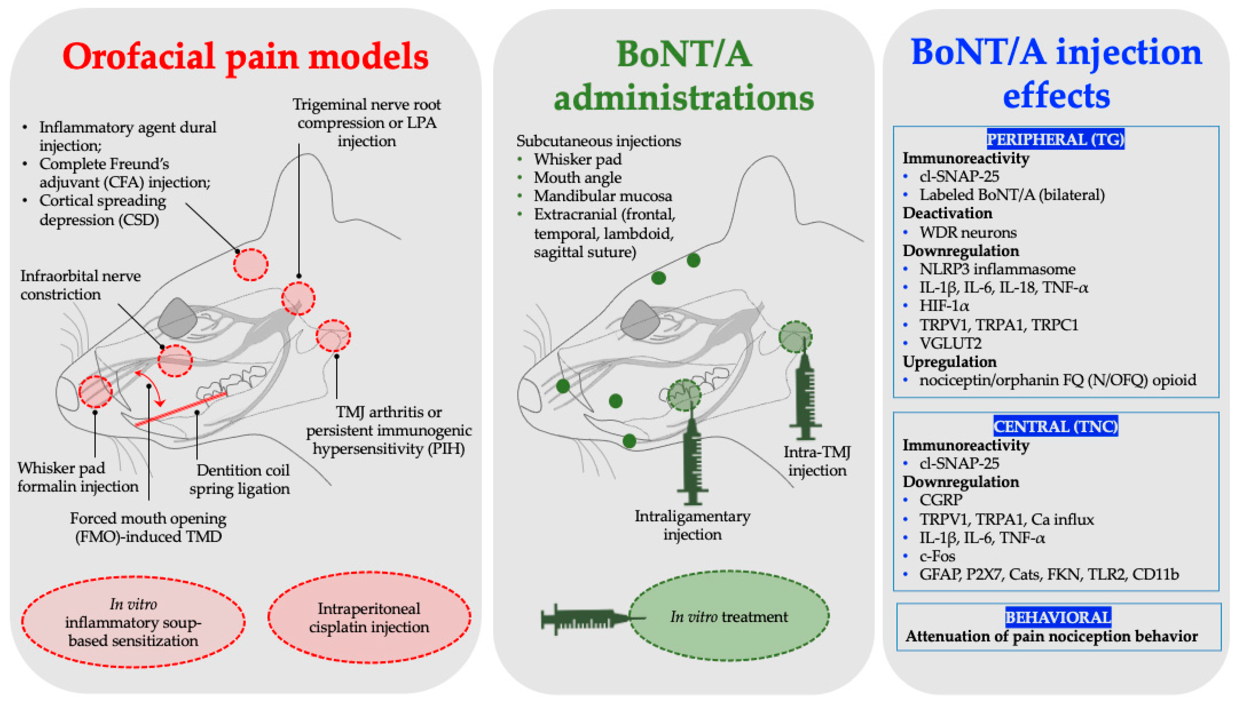 Toxins 17 00567 g001 Toxins 17 00567 g001