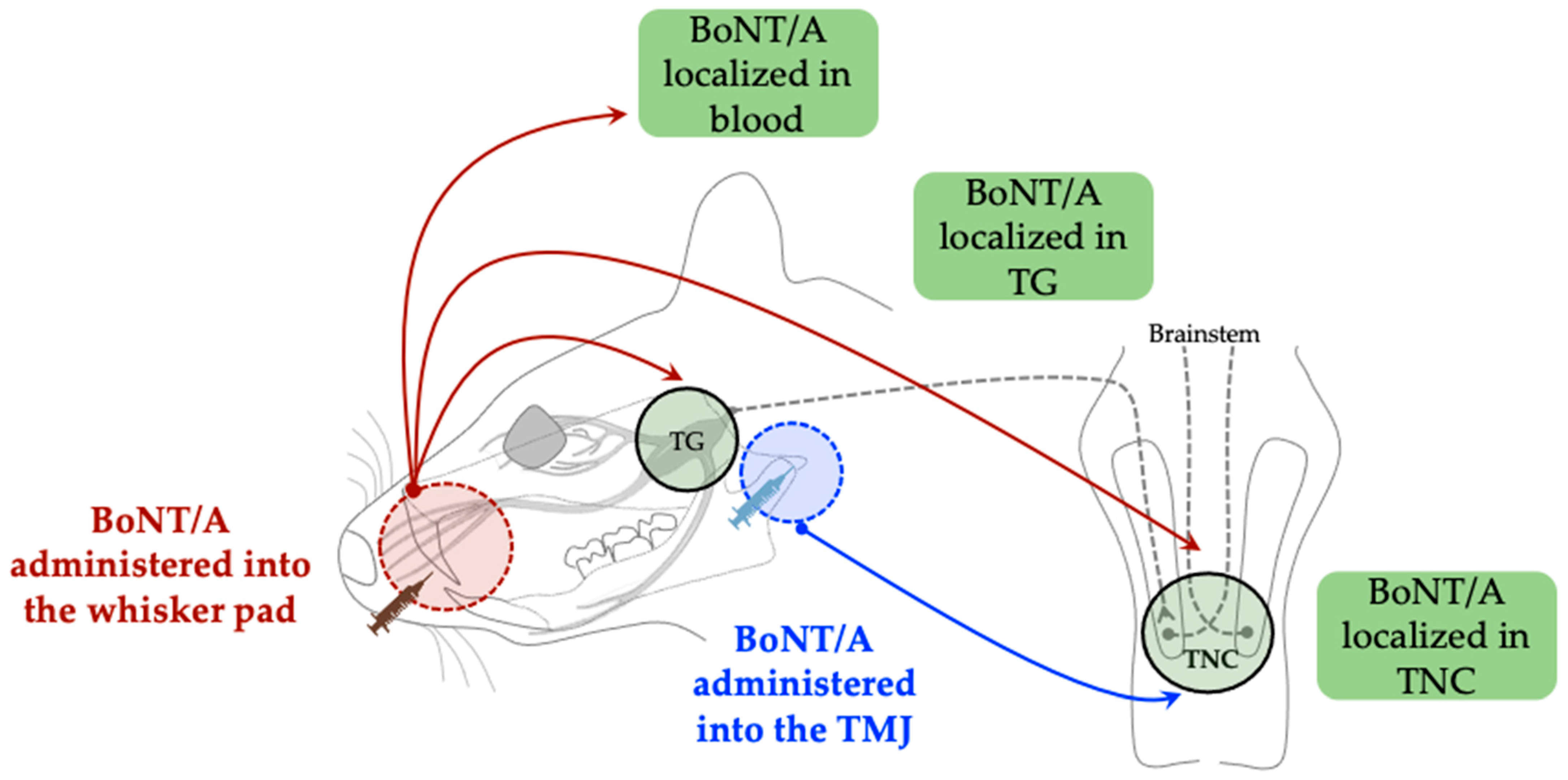 Toxins 17 00567 g003 Toxins 17 00567 g003
