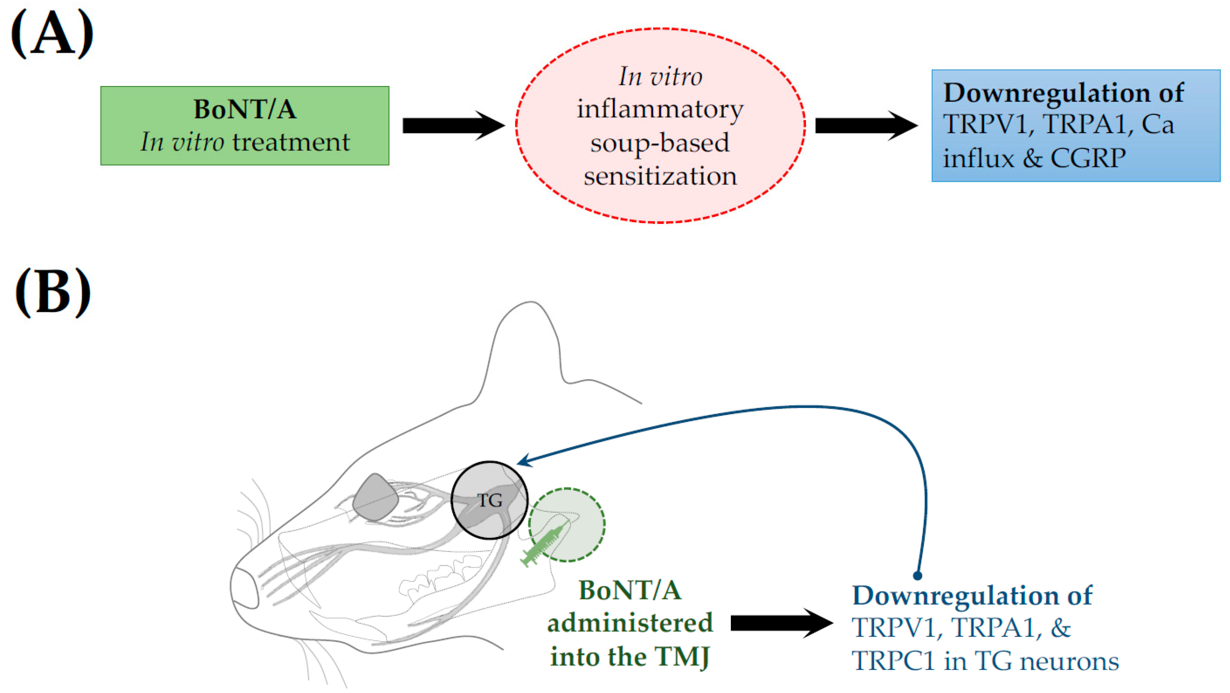 Toxins 17 00567 g004 Toxins 17 00567 g004