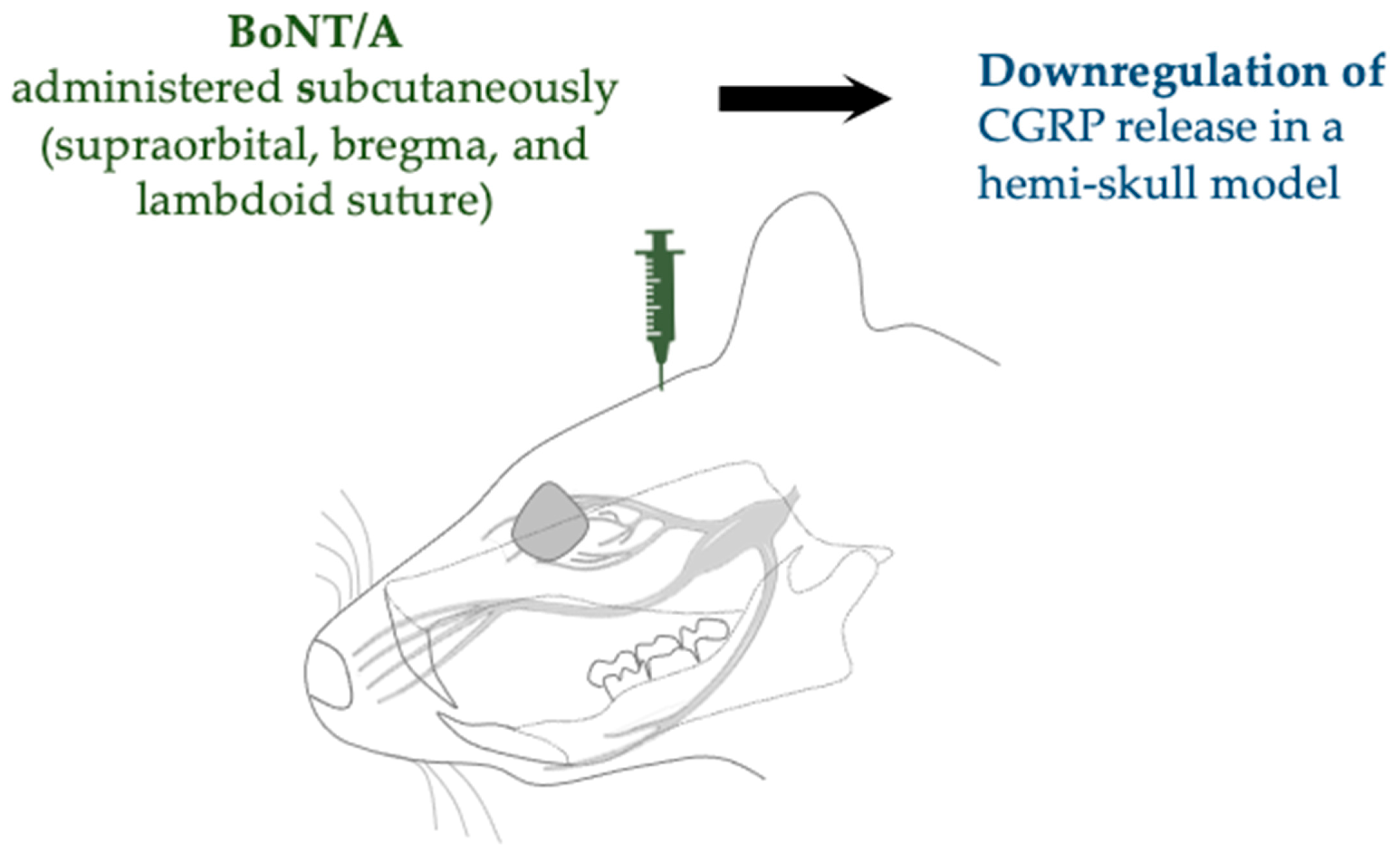 Toxins 17 00567 g005 Toxins 17 00567 g005