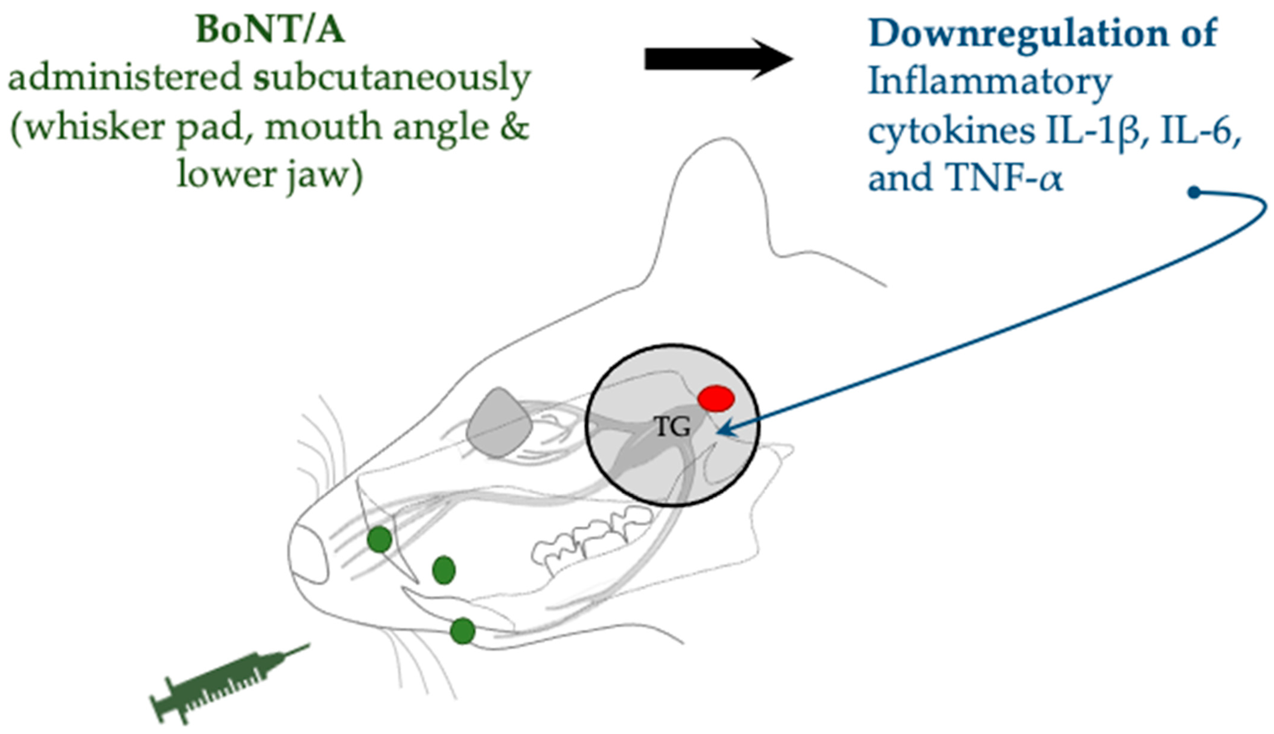 Toxins 17 00567 g006 Toxins 17 00567 g006
