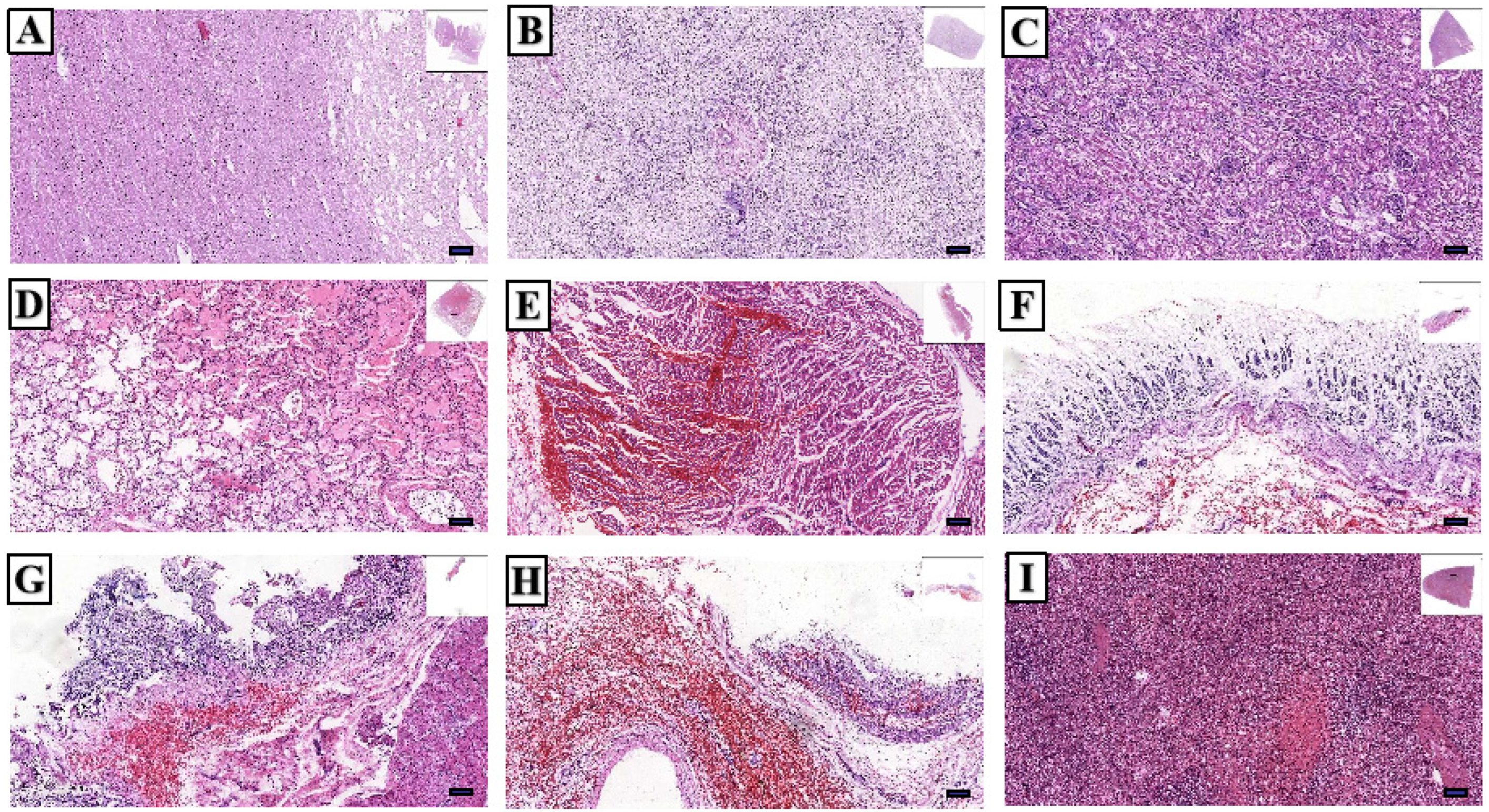 Toxins 17 00576 g008 Toxins 17 00576 g008