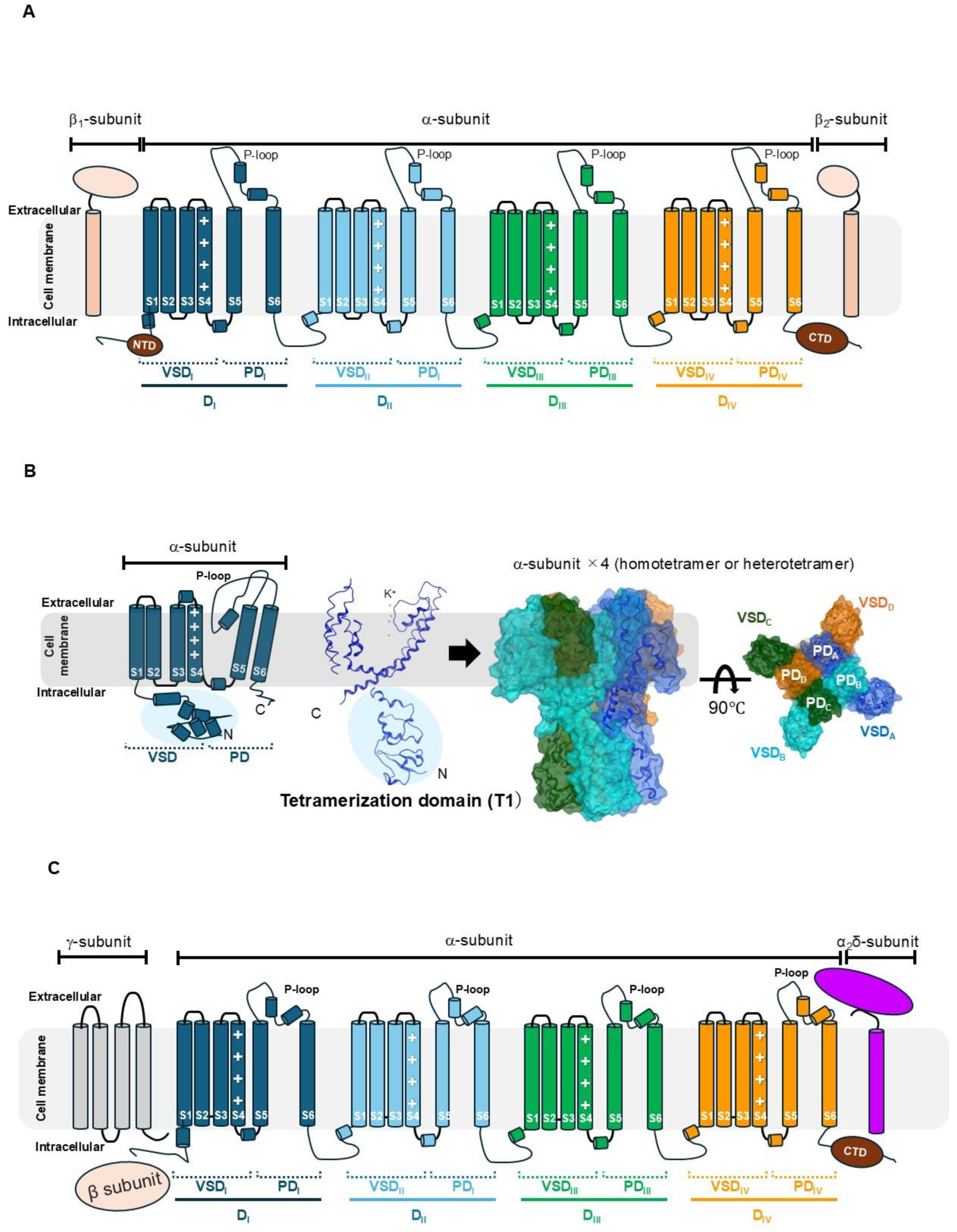 Toxins 17 00579 g002