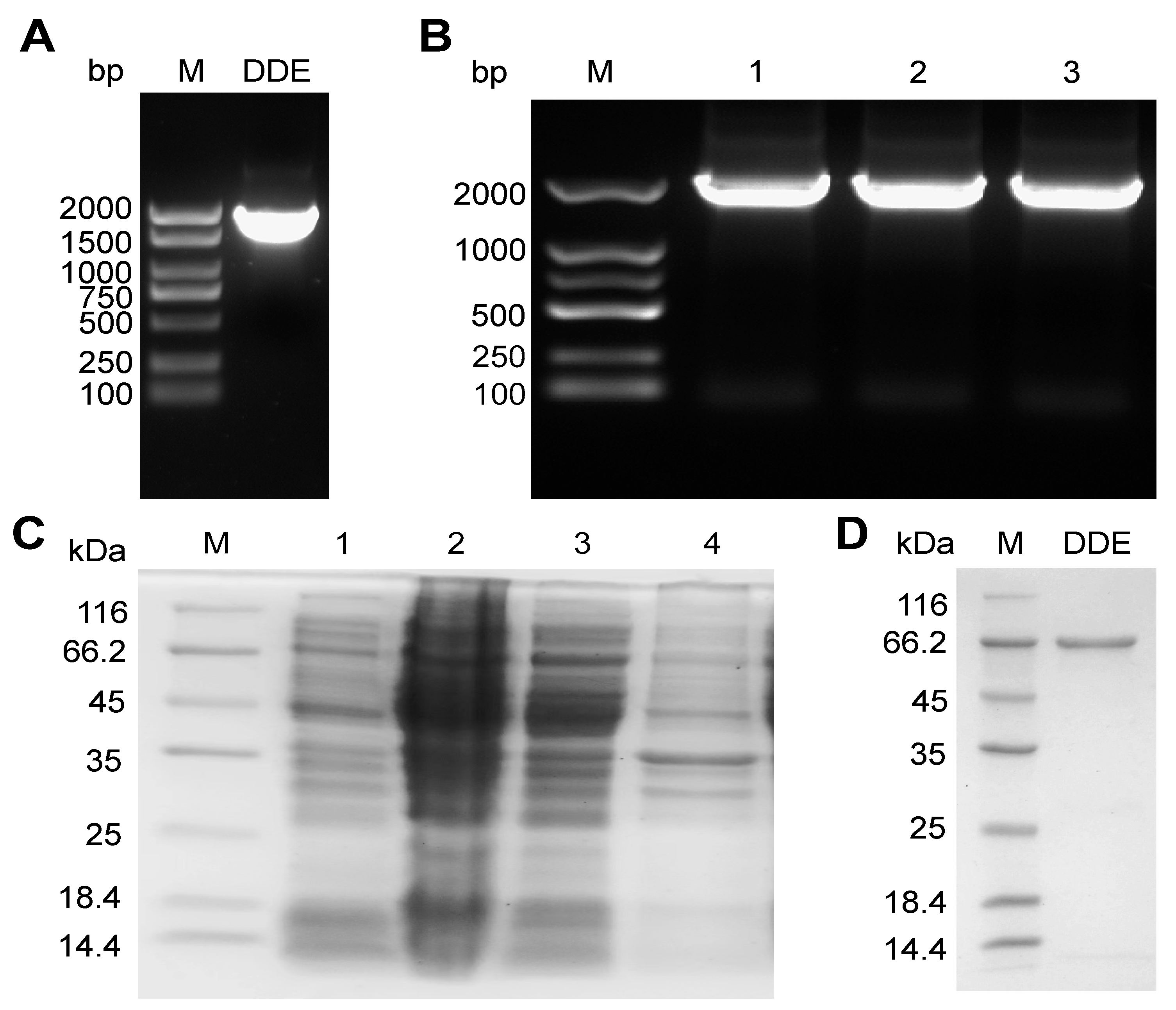 Toxins 17 00588 g001 Toxins 17 00588 g001