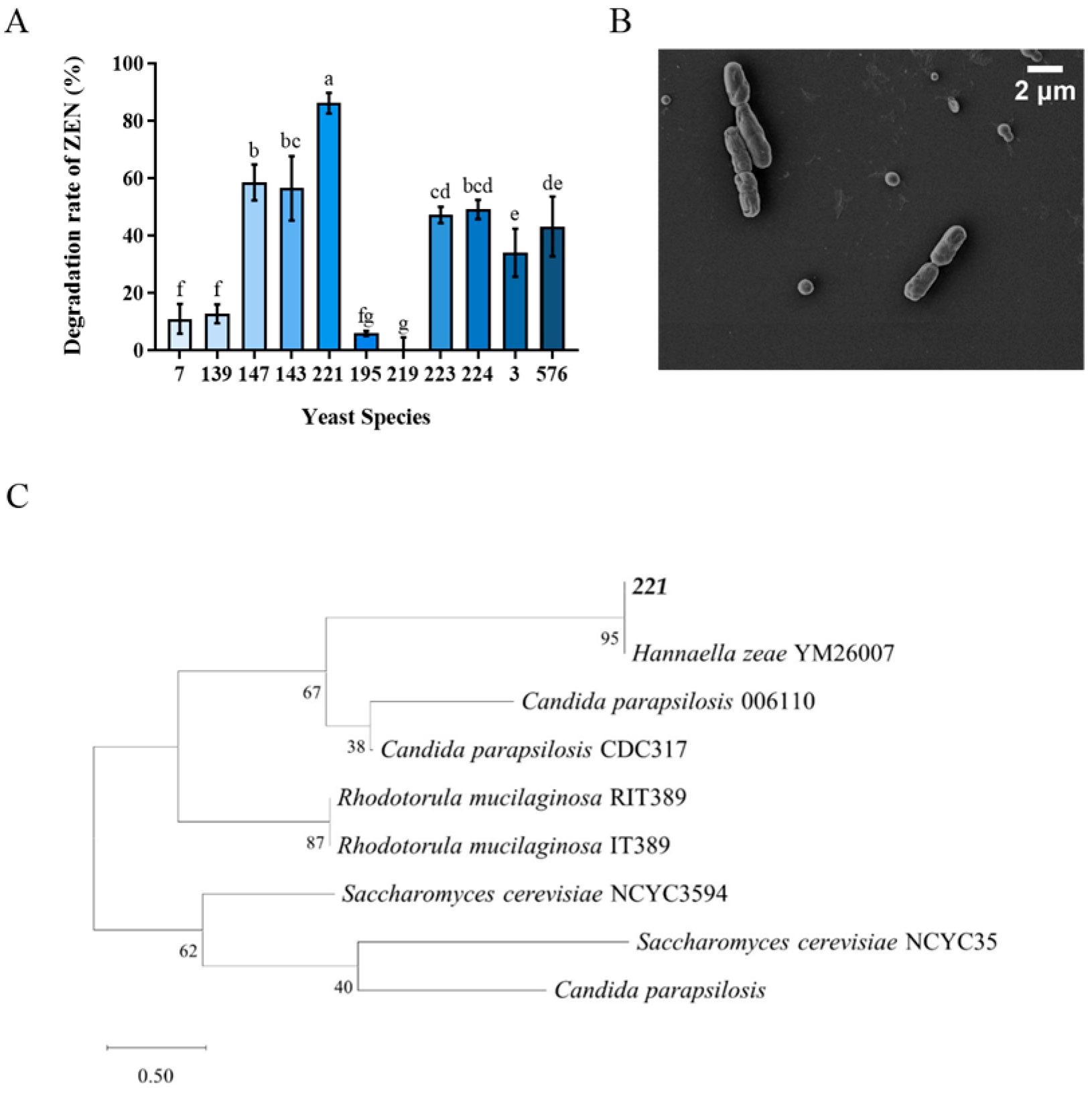Toxins 18 00002 g001