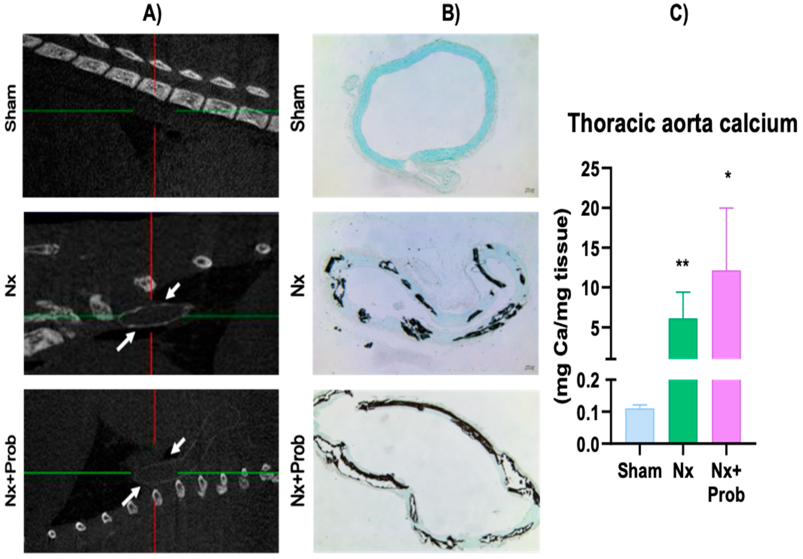 Toxins 18 00006 g002 Toxins 18 00006 g002