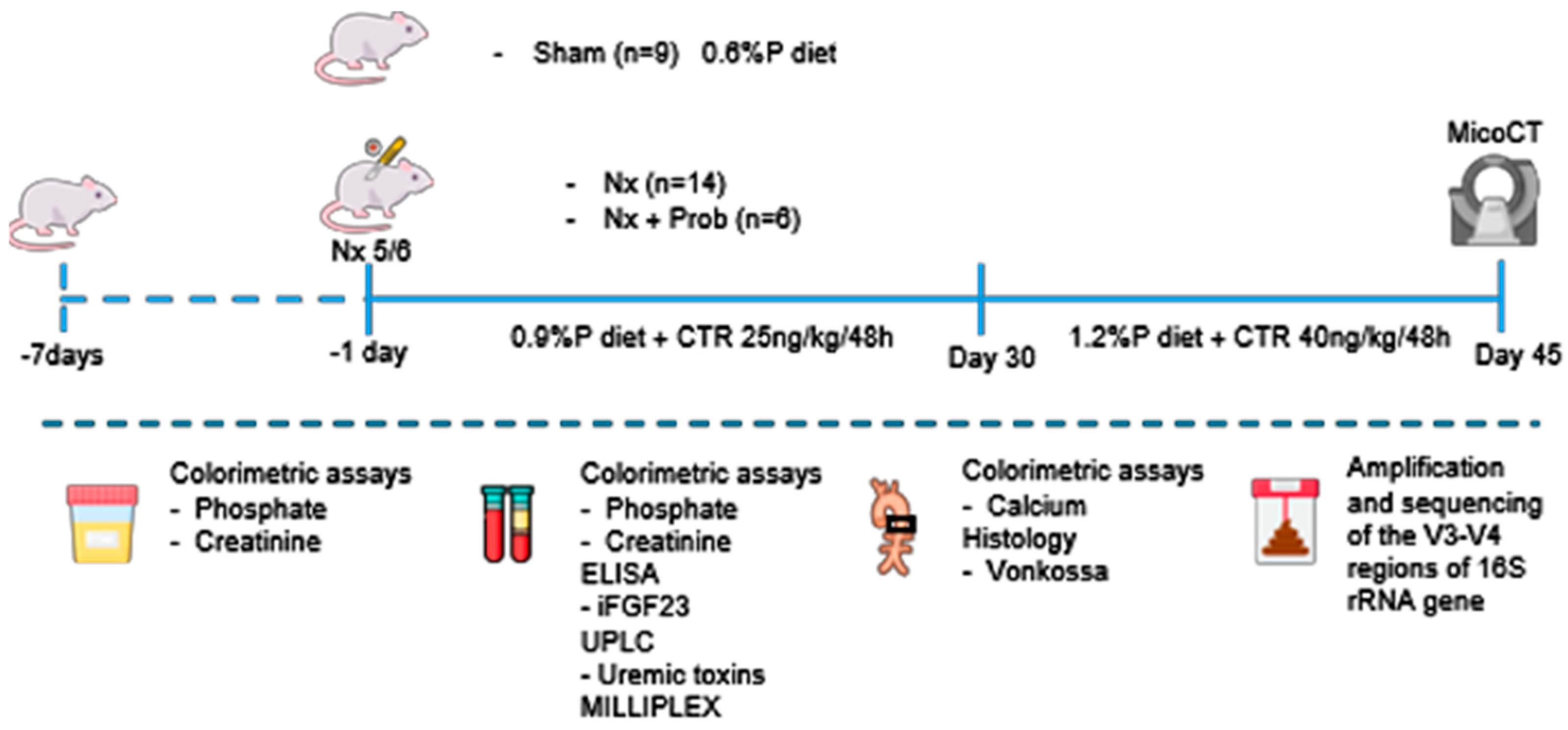 Toxins 18 00006 g011 Toxins 18 00006 g011