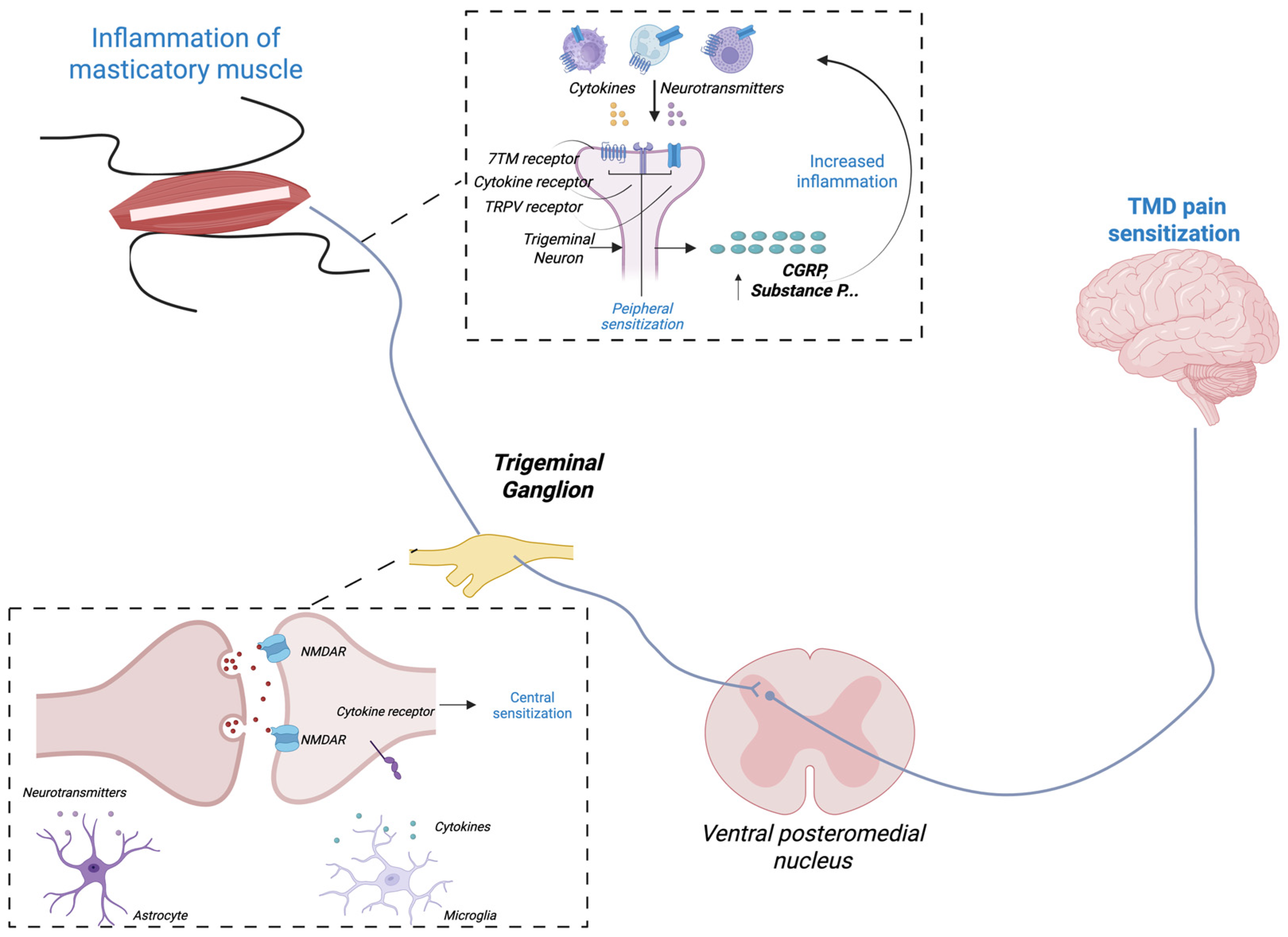 Toxins 18 00028 g002