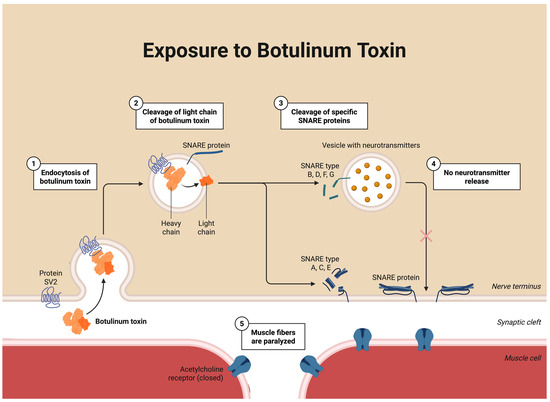 Toxins 18 00028 g003