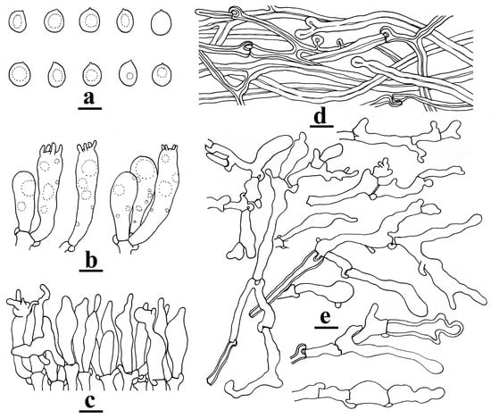 Toxins 18 00040 g003