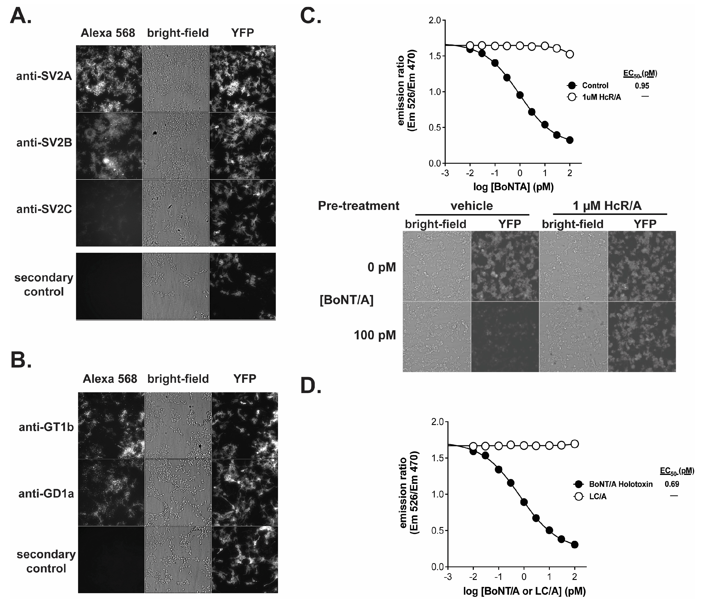 Toxins 18 00045 g002