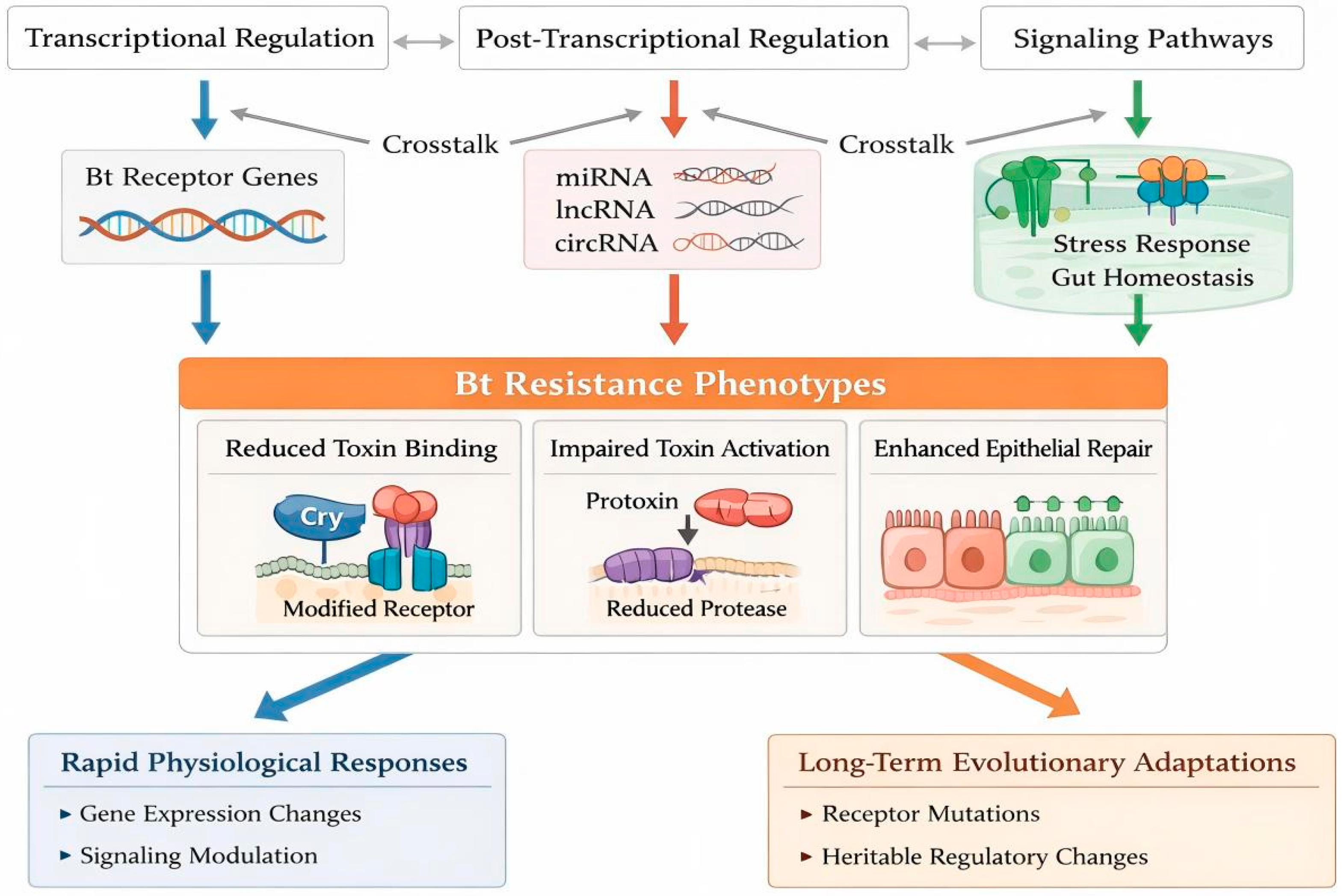 Toxins 18 00060 g002 Toxins 18 00060 g002