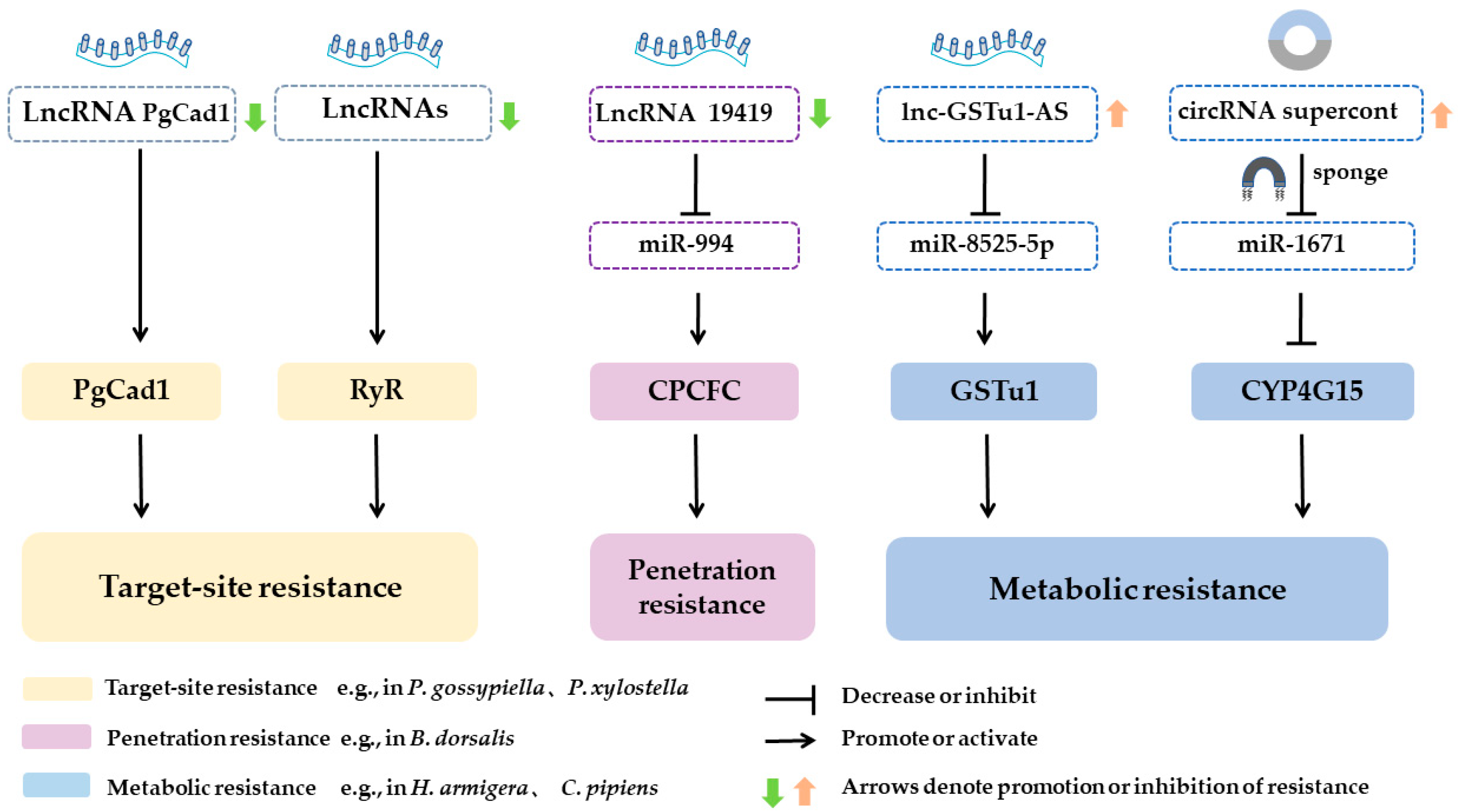 Toxins 18 00060 g003 Toxins 18 00060 g003