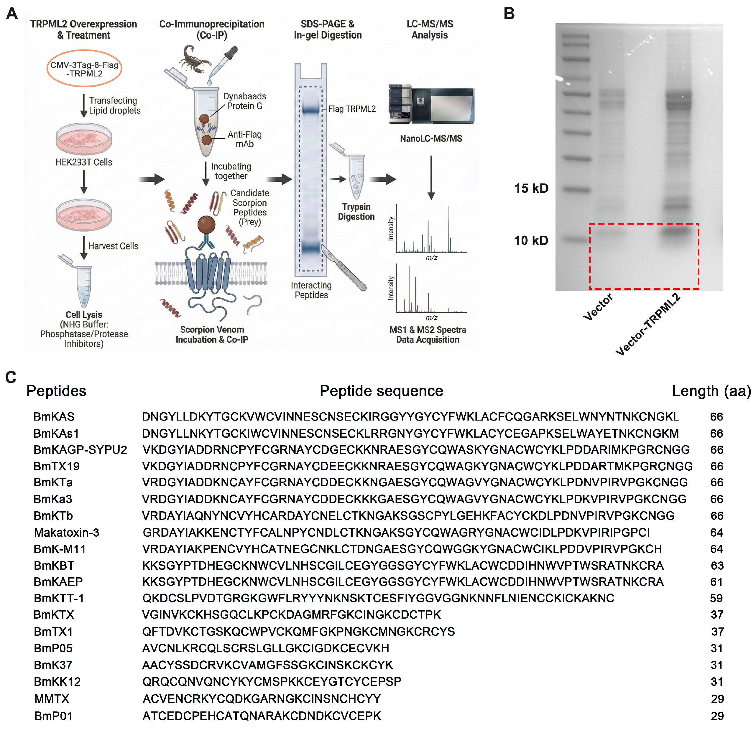Toxins 18 00110 g001 Toxins 18 00110 g001