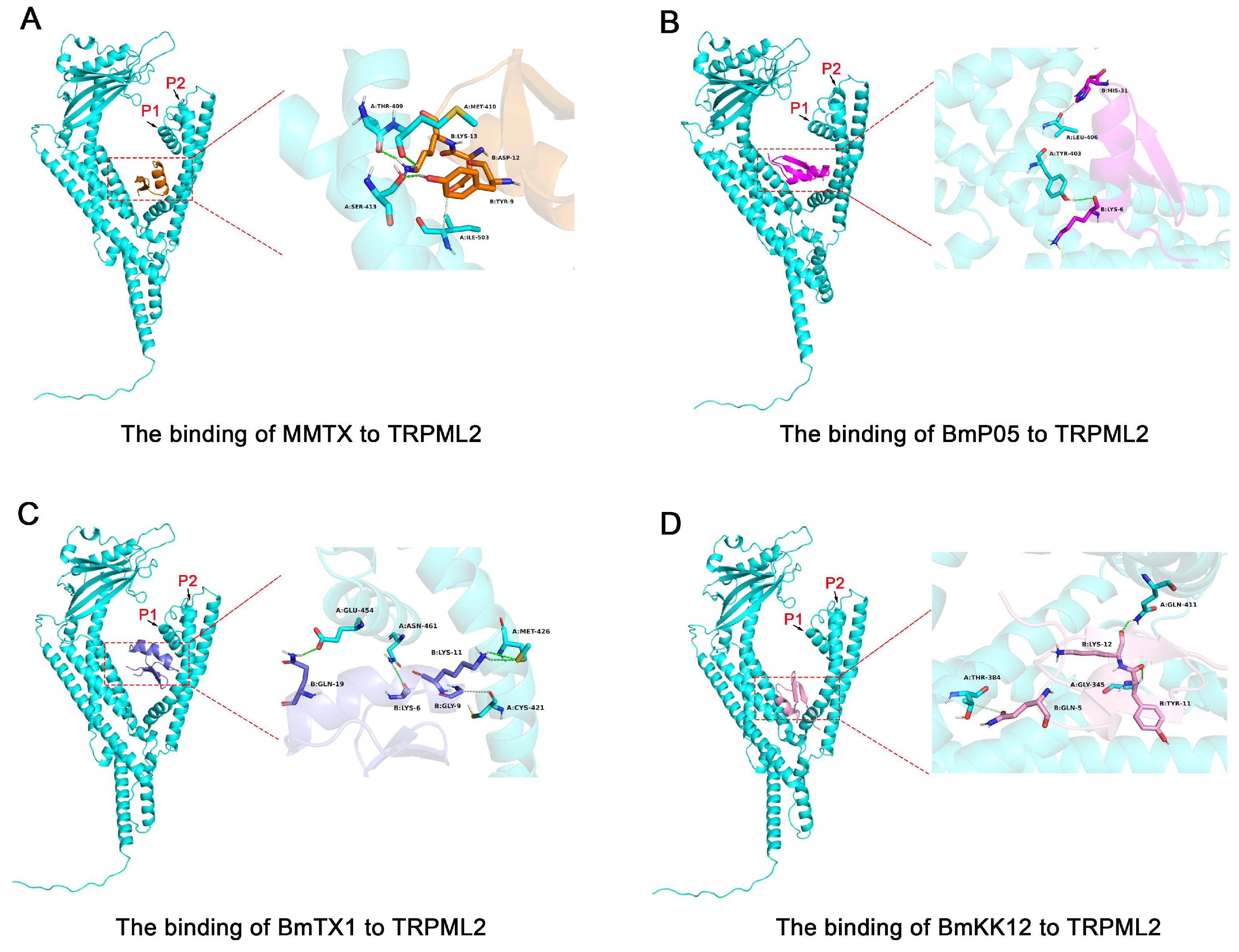 Toxins 18 00110 g003 Toxins 18 00110 g003
