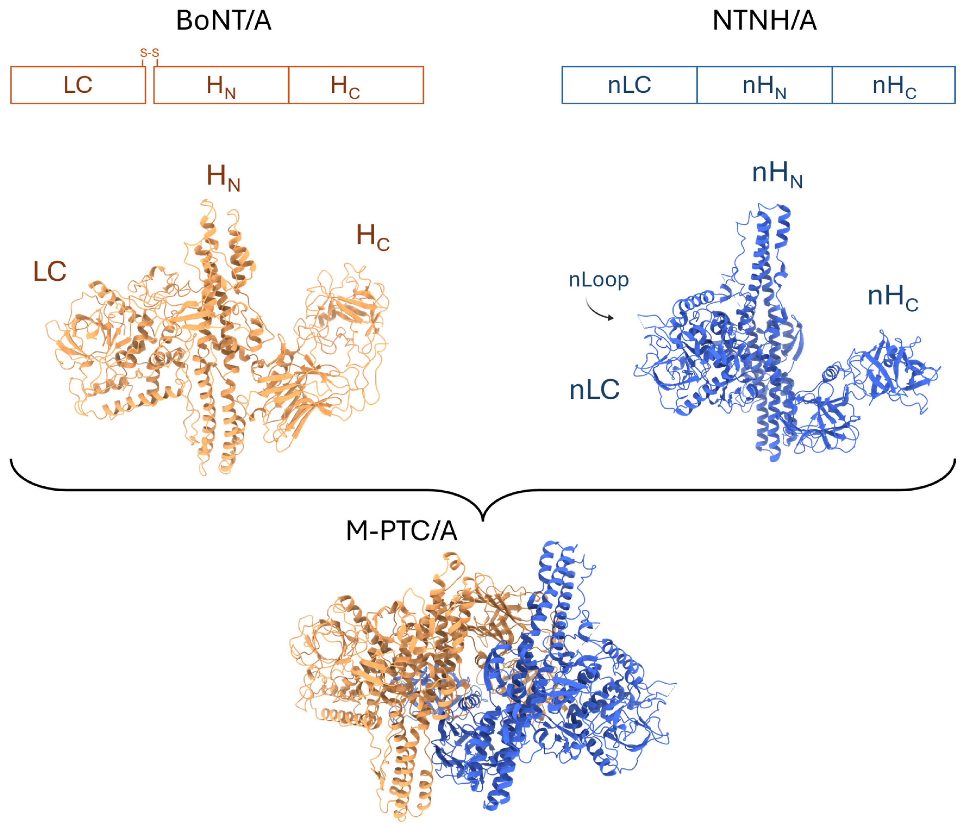 Toxins 18 00116 g001 Toxins 18 00116 g001