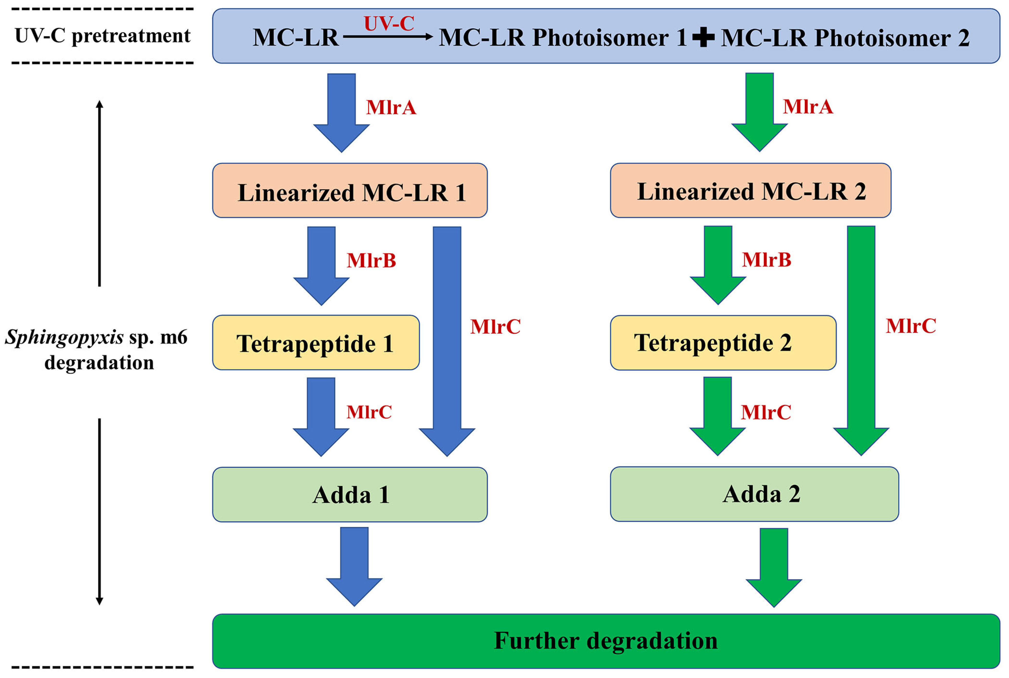Toxins 18 00136 g004