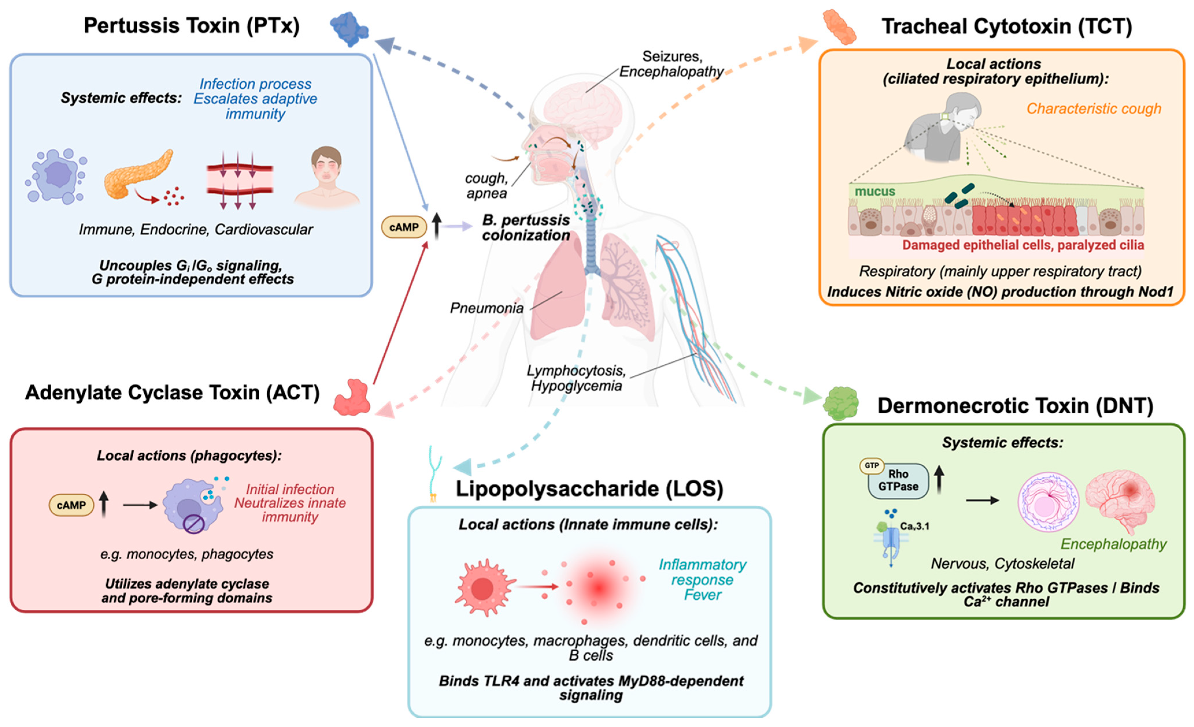 Toxins 18 00148 g001