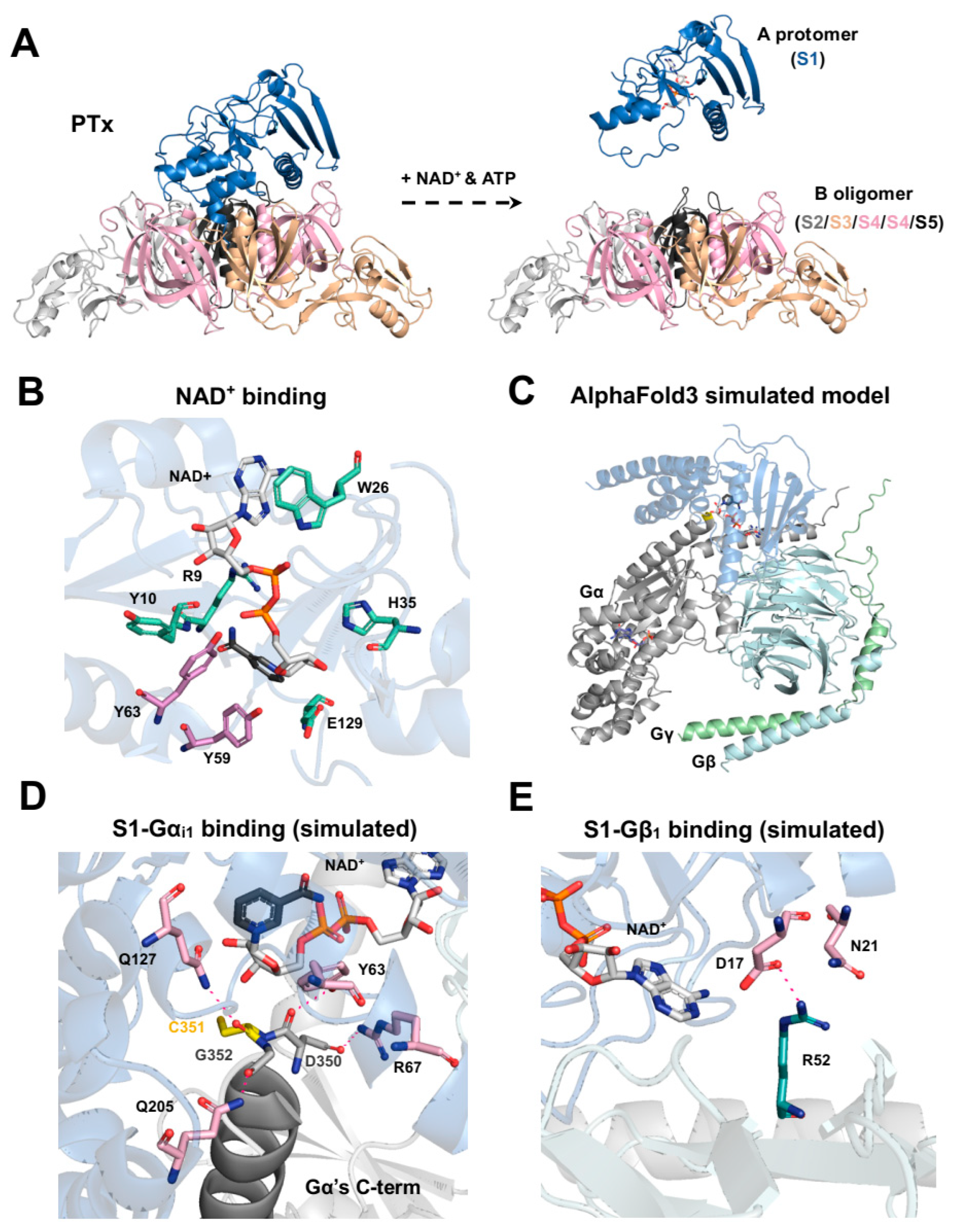Toxins 18 00148 g002