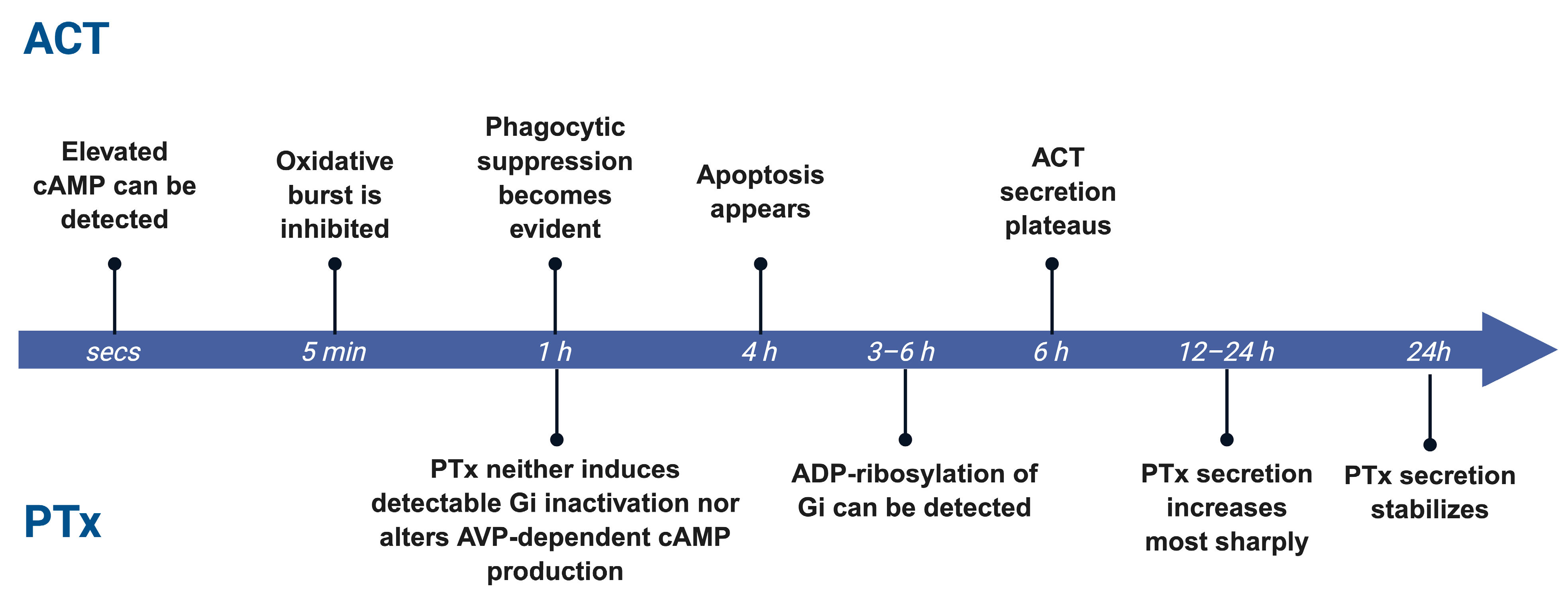 Toxins 18 00148 g004