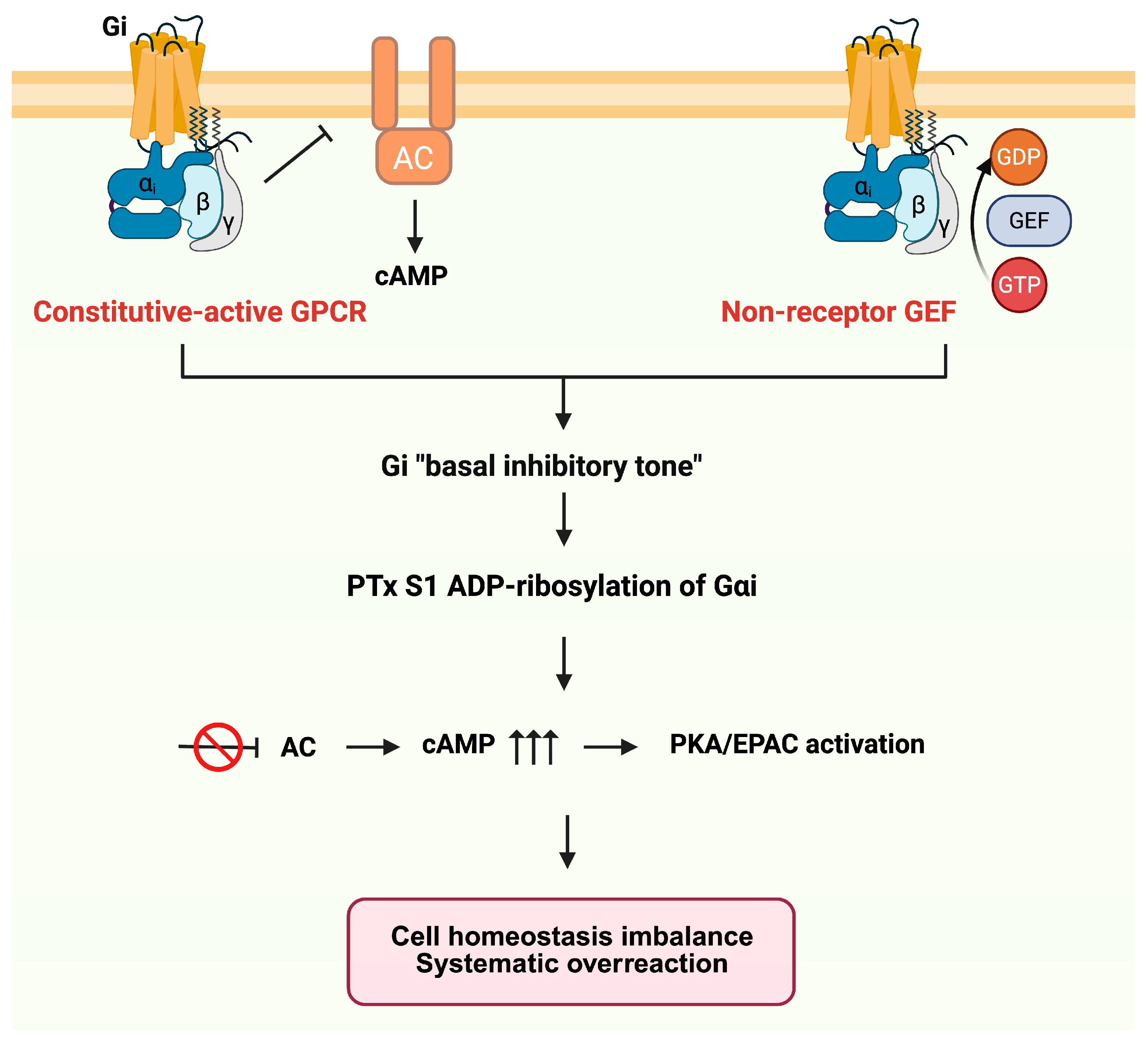 Toxins 18 00148 g006