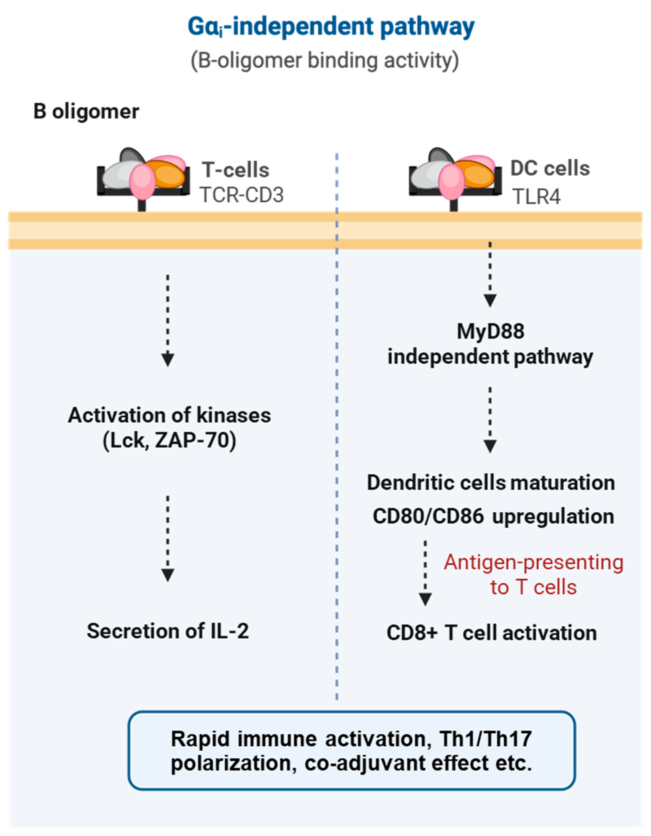 Toxins 18 00148 g008