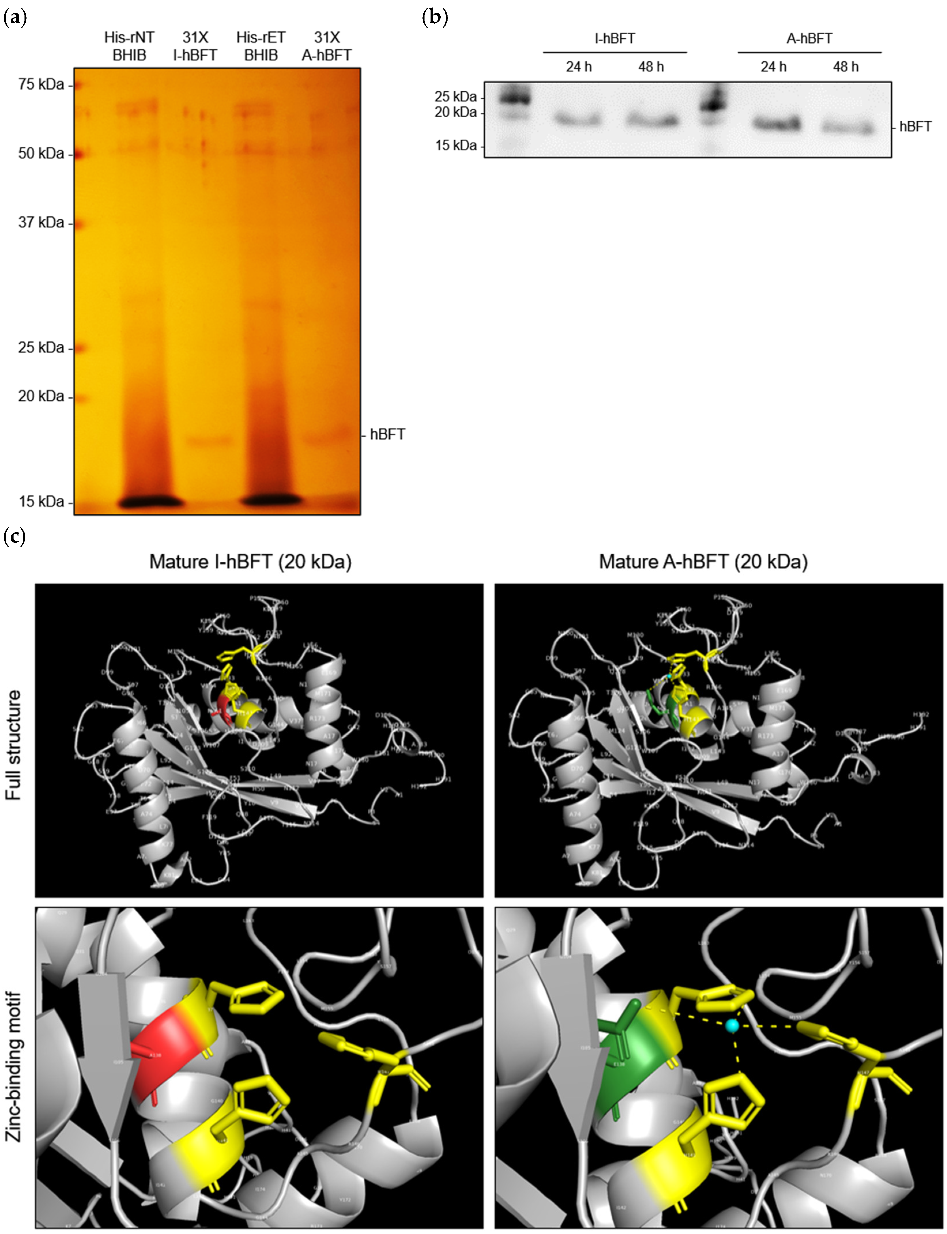 Toxins 18 00189 g001 Toxins 18 00189 g001
