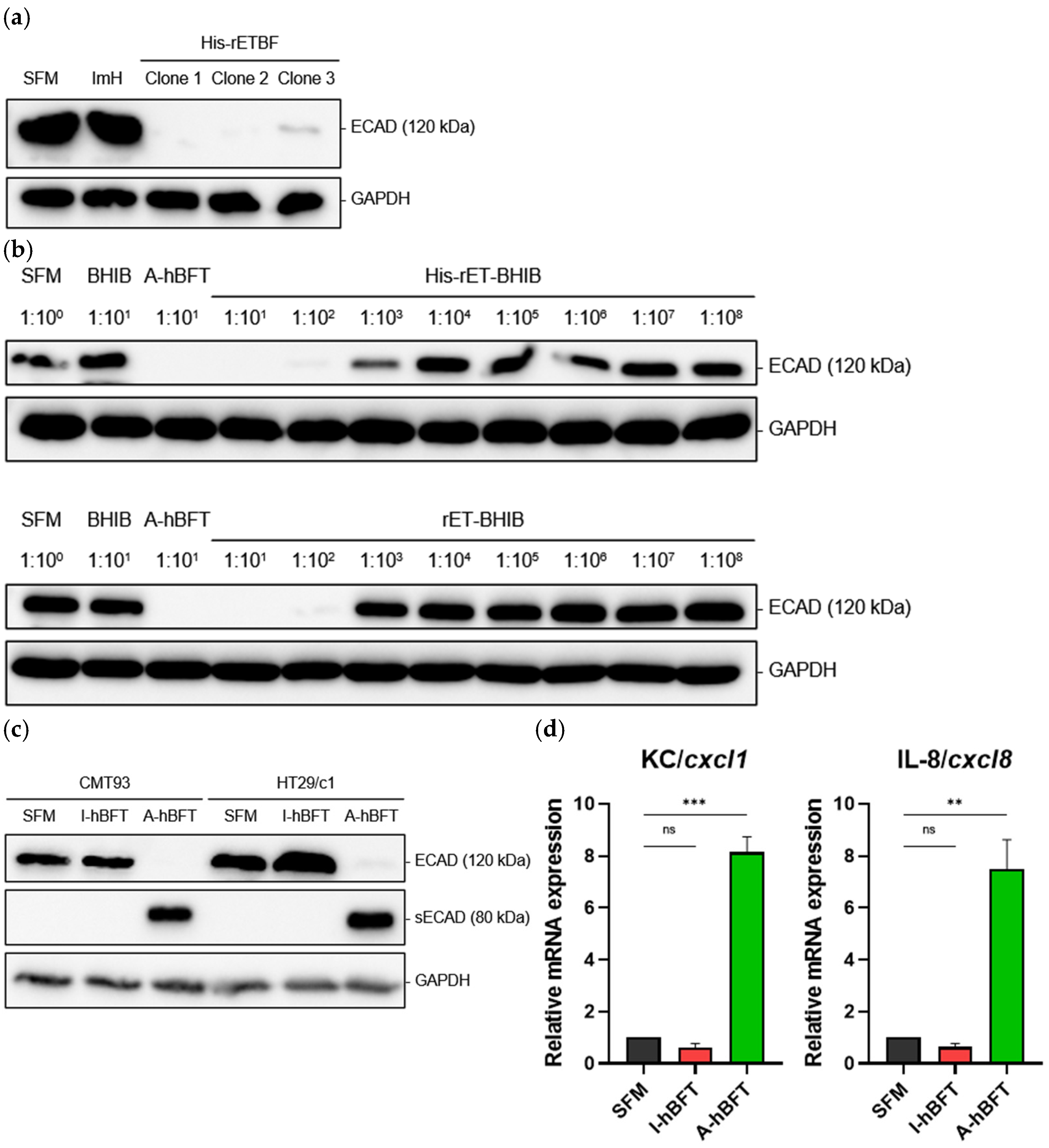 Toxins 18 00189 g002 Toxins 18 00189 g002