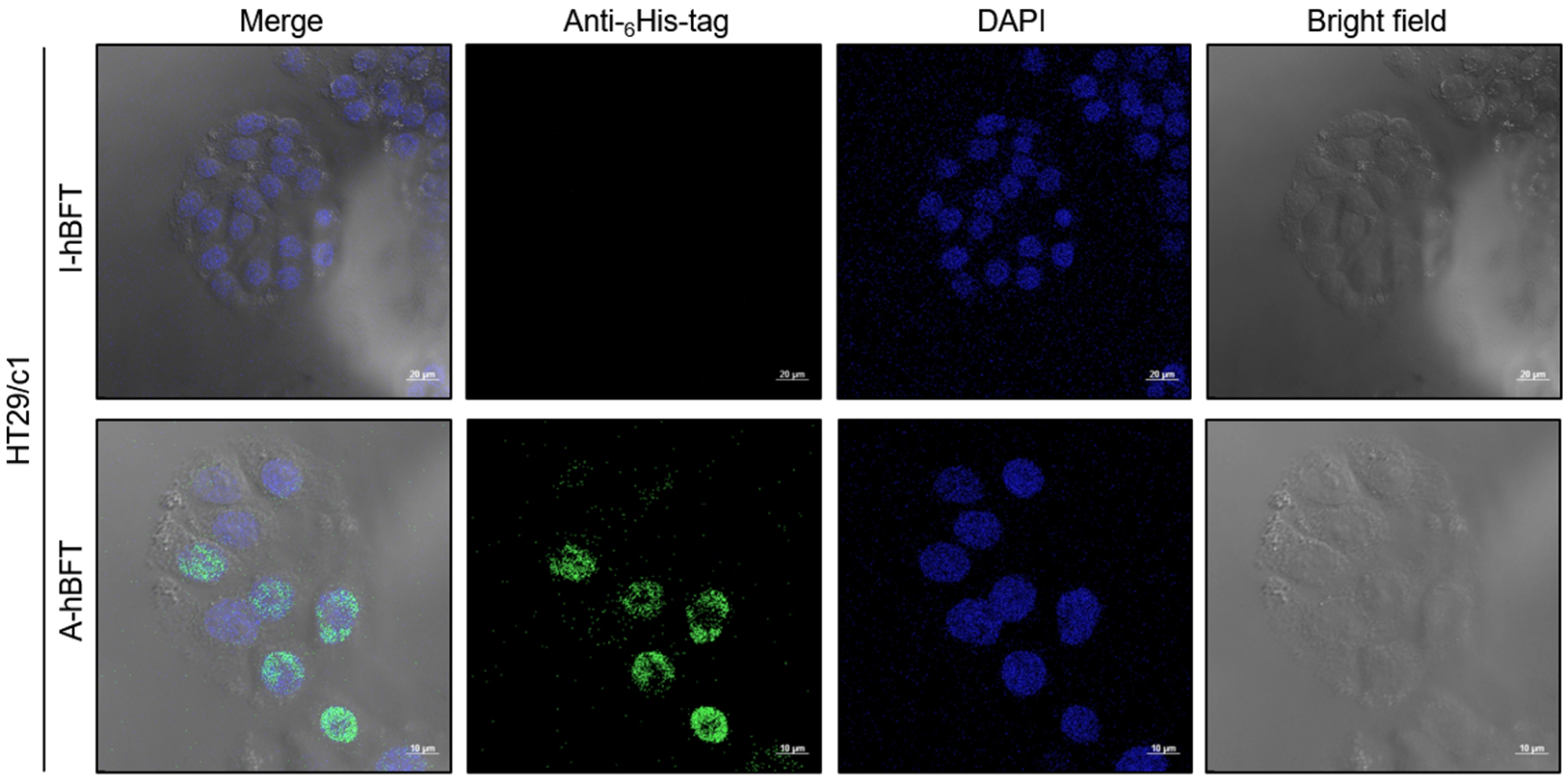 Toxins 18 00189 g003 Toxins 18 00189 g003