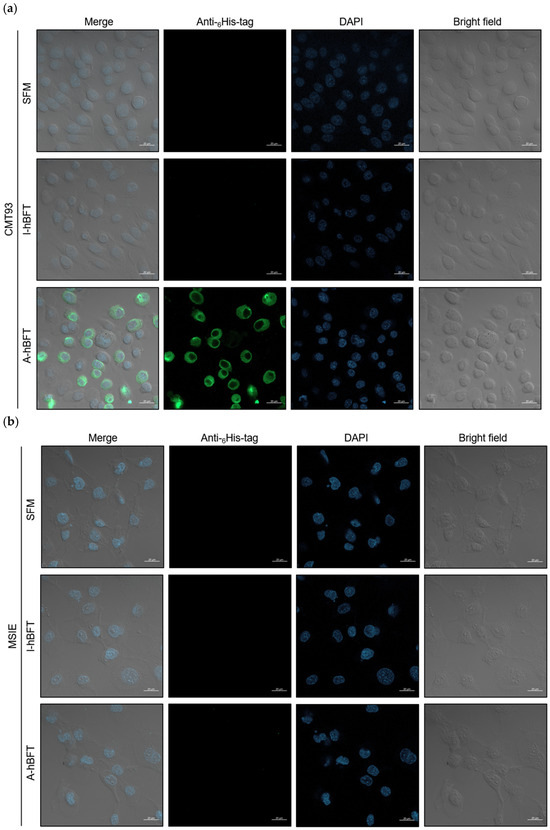 Toxins 18 00189 g004a Toxins 18 00189 g004a