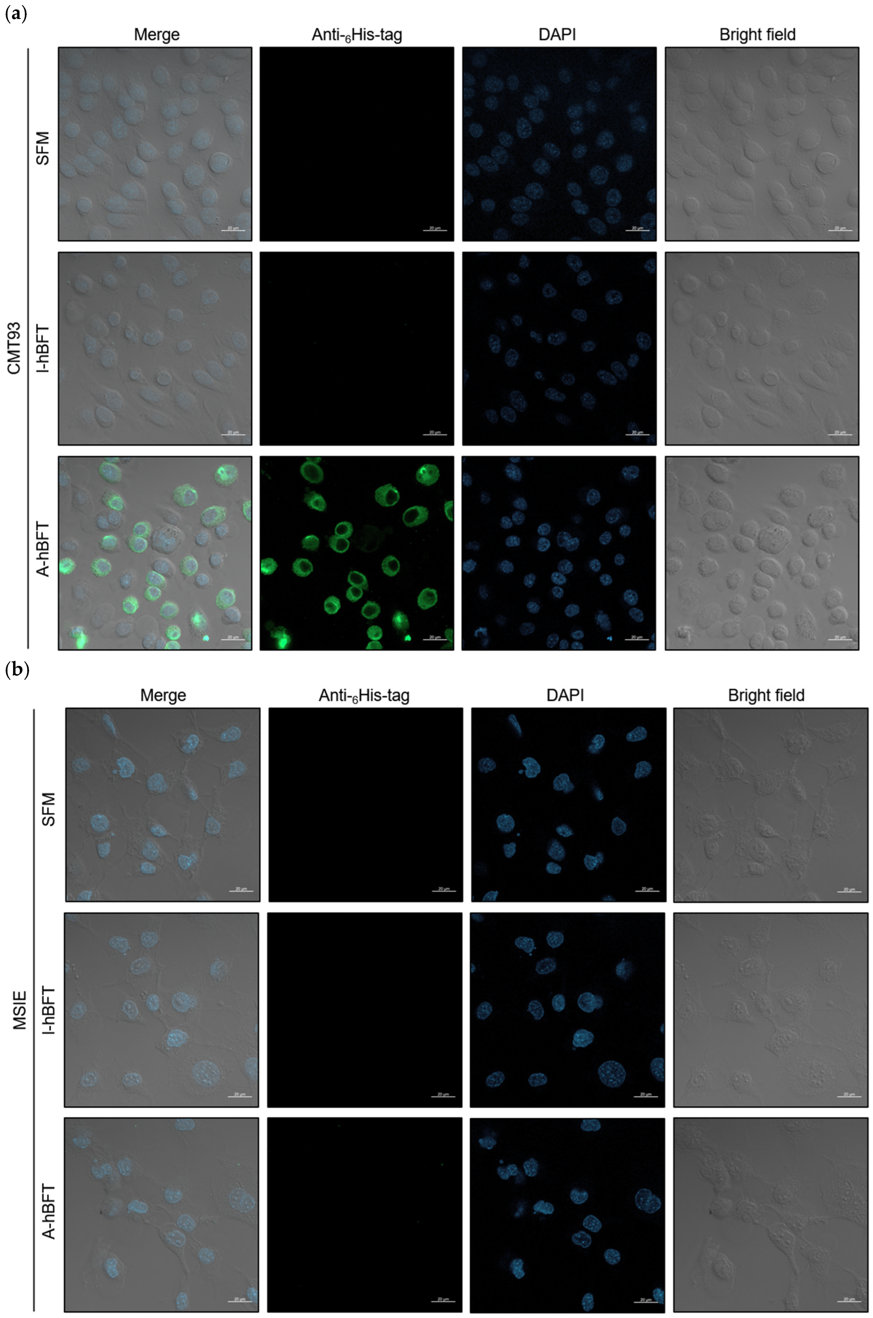 Toxins 18 00189 g004a Toxins 18 00189 g004a