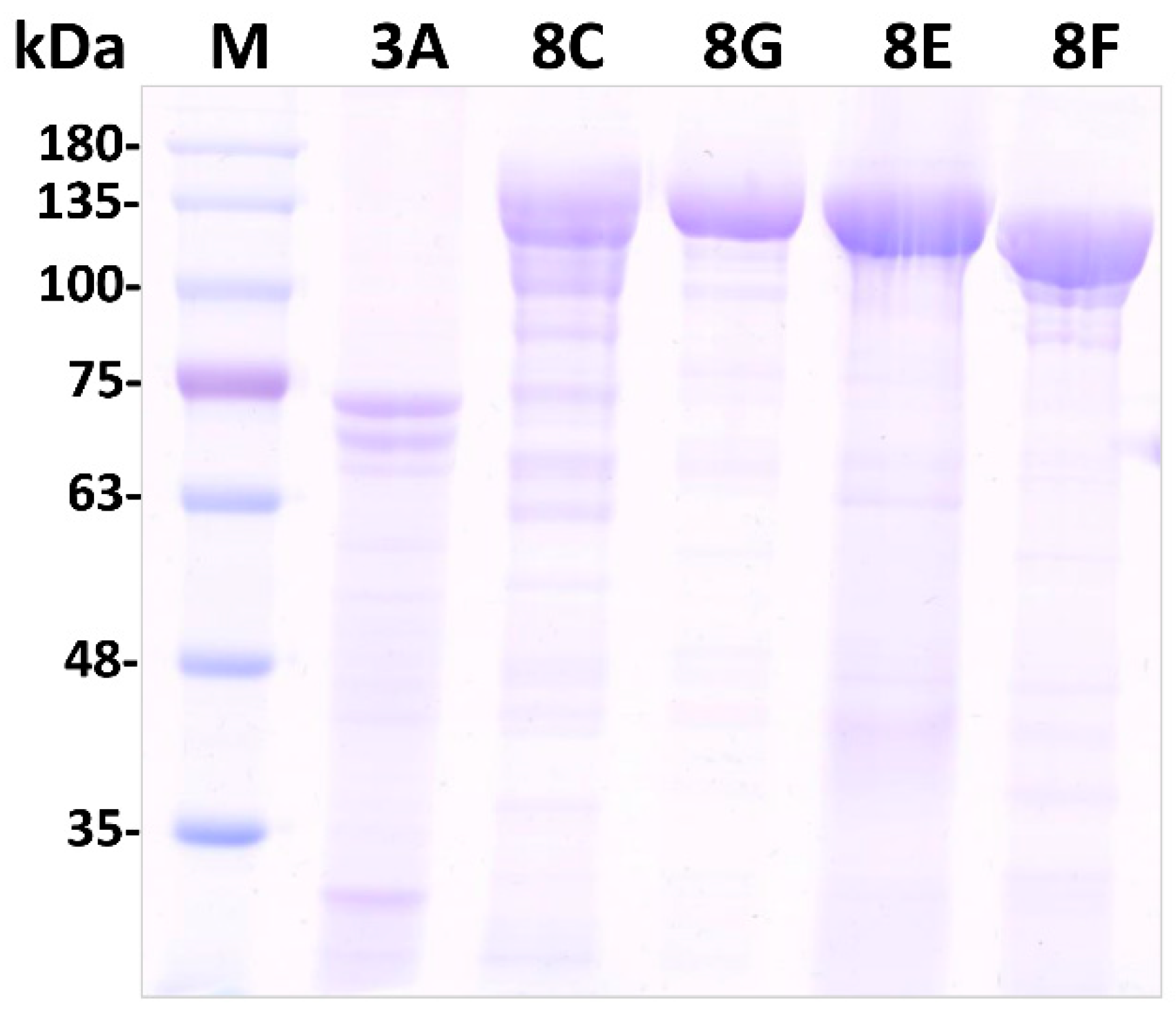 Toxins 18 00191 g005 Toxins 18 00191 g005