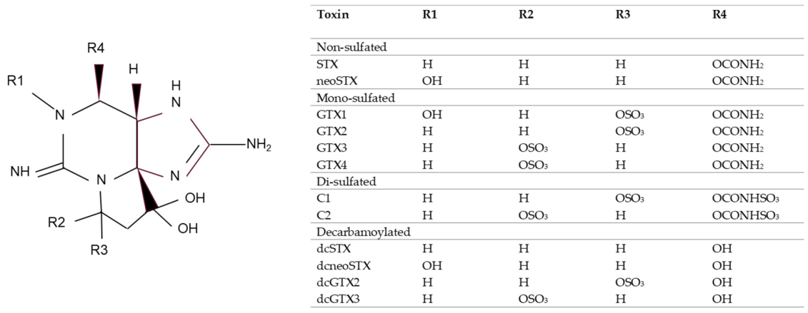 Toxins 18 00206 g001 Toxins 18 00206 g001