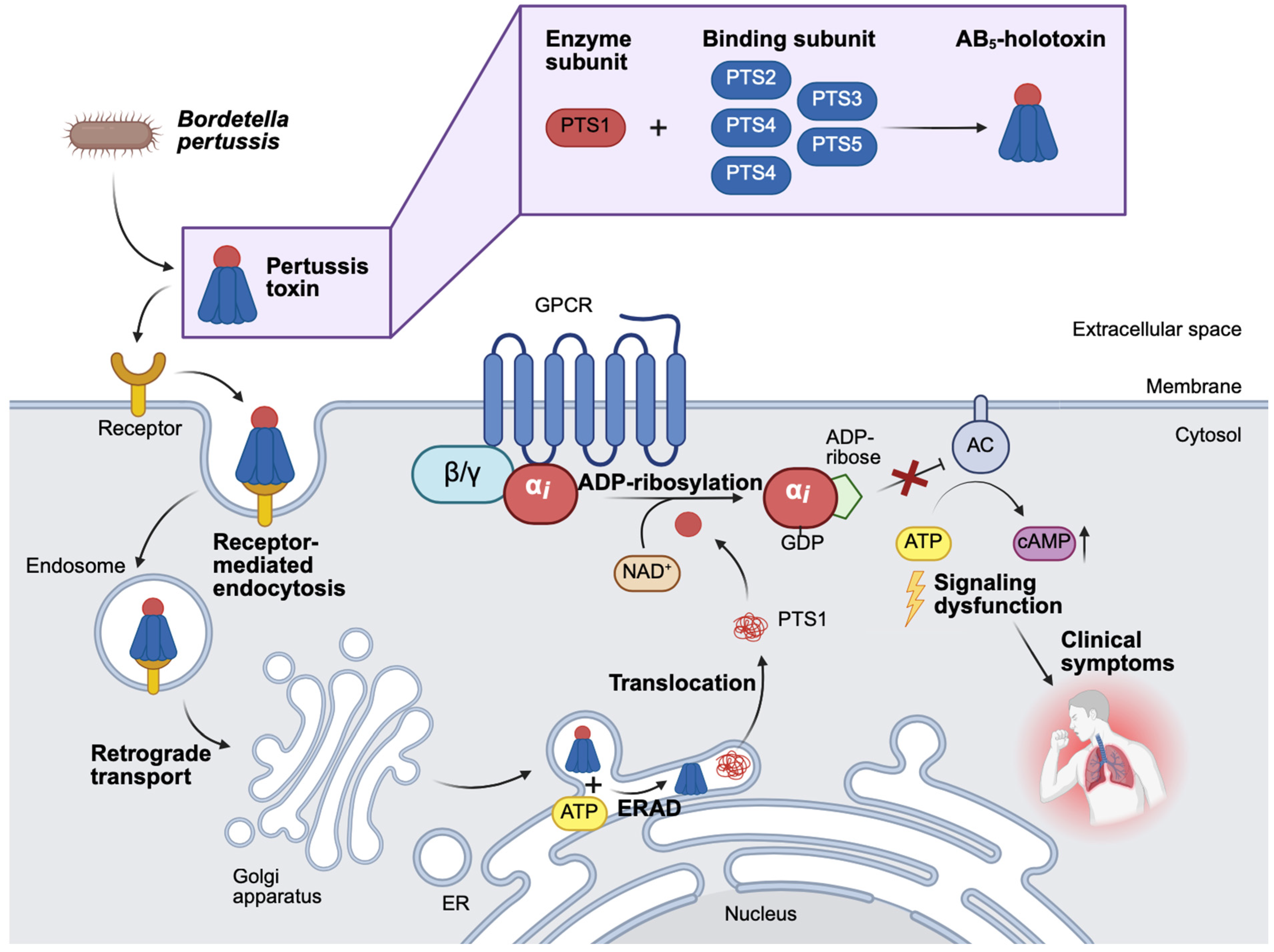 Toxins 18 00208 g002 Toxins 18 00208 g002