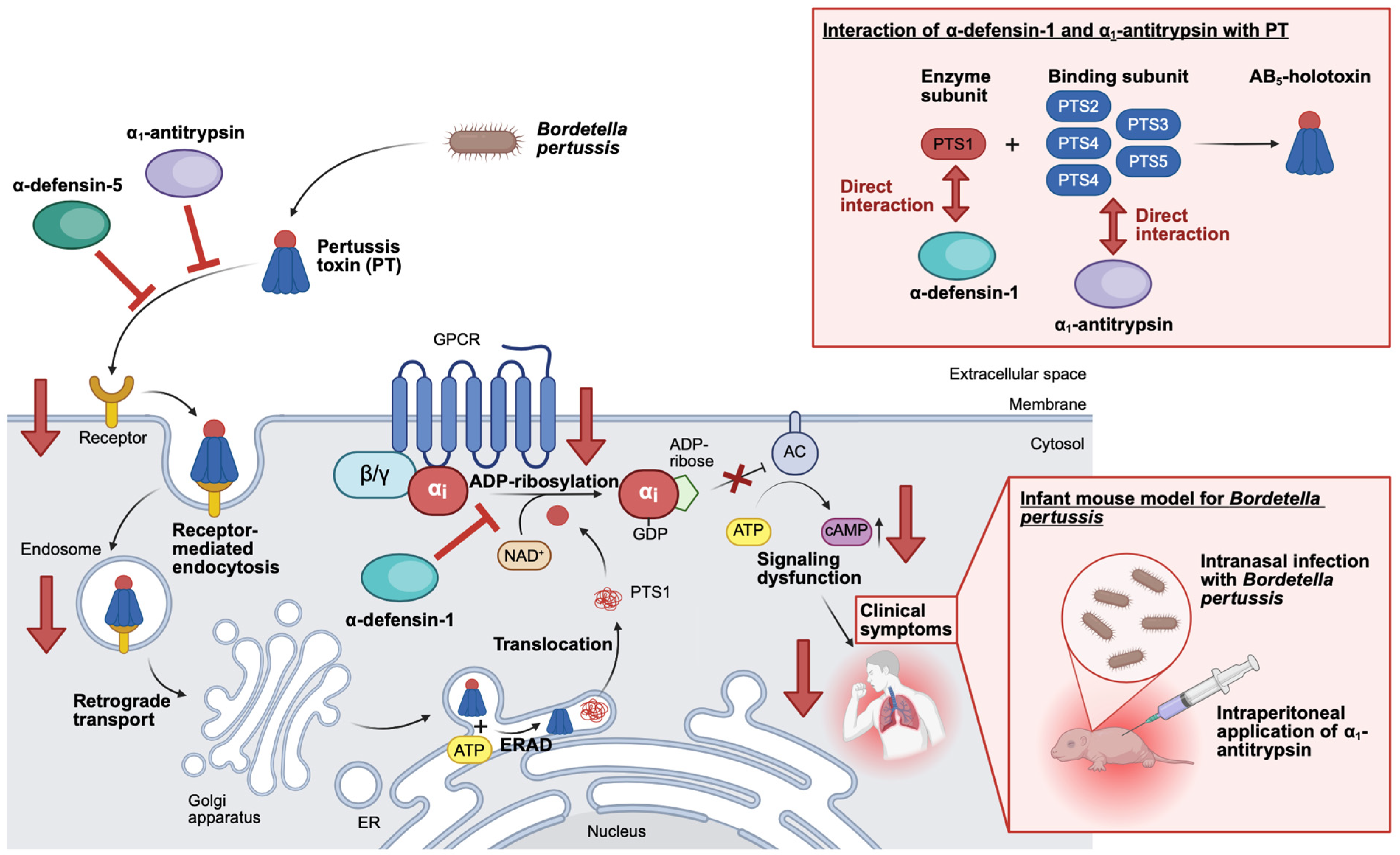Toxins 18 00208 g003 Toxins 18 00208 g003