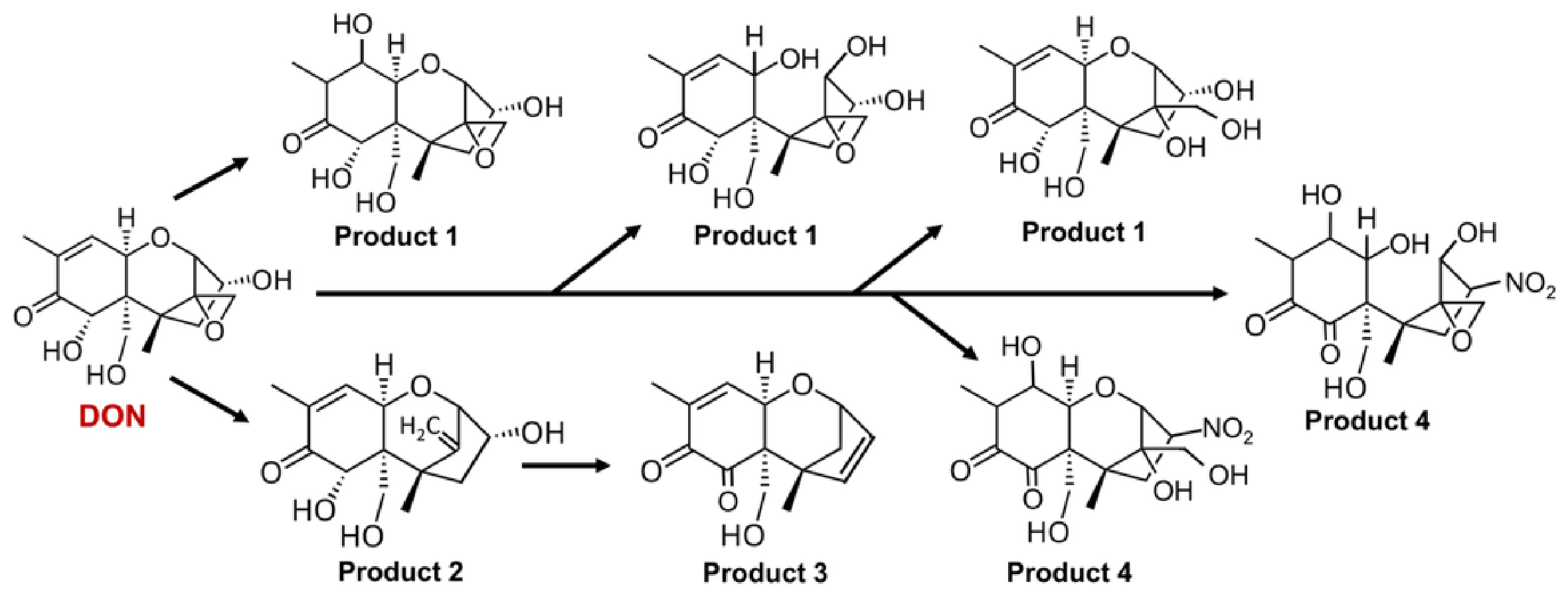 Toxins 18 00241 g015 Toxins 18 00241 g015