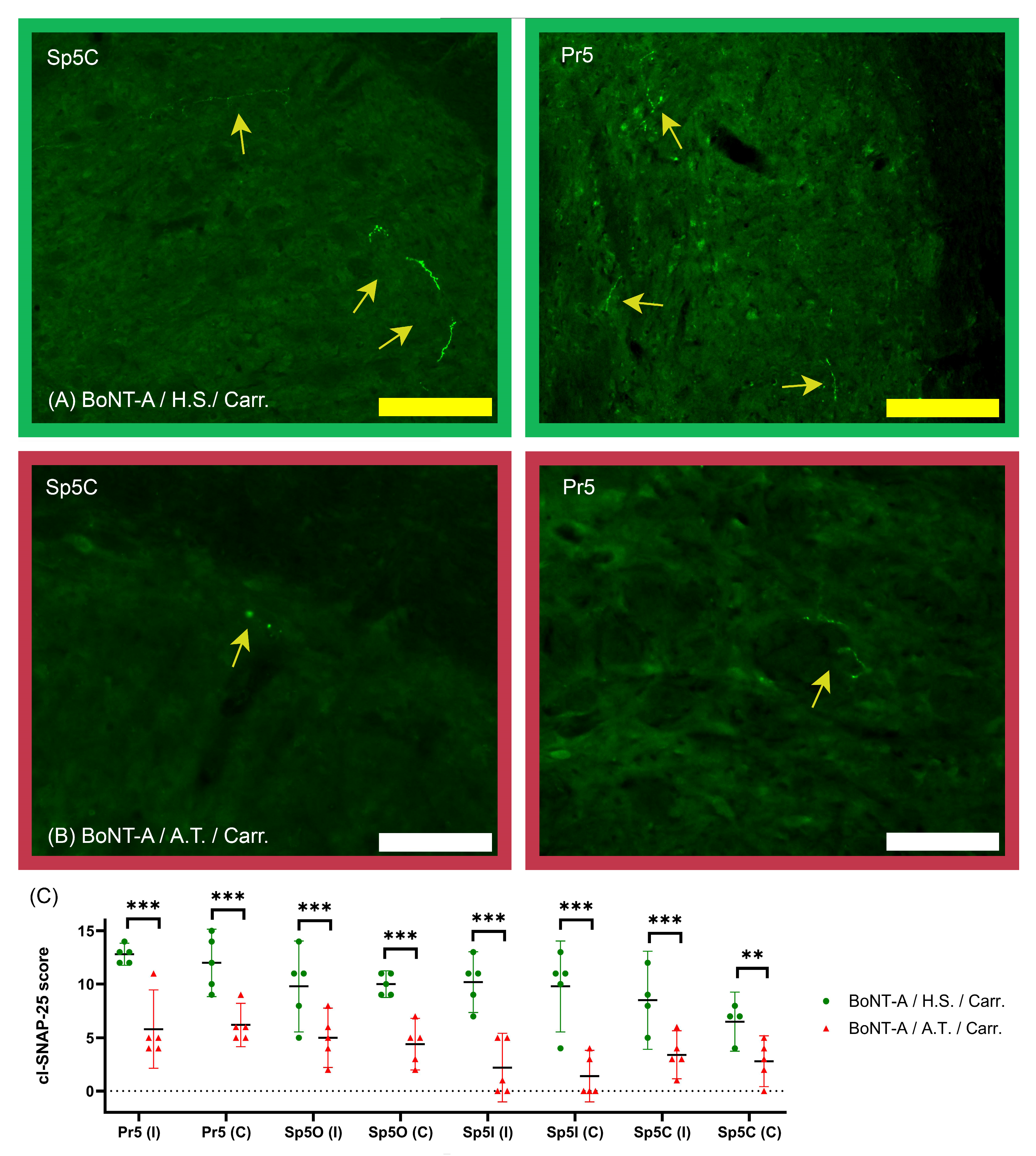 Toxins 18 00261 g001 Toxins 18 00261 g001