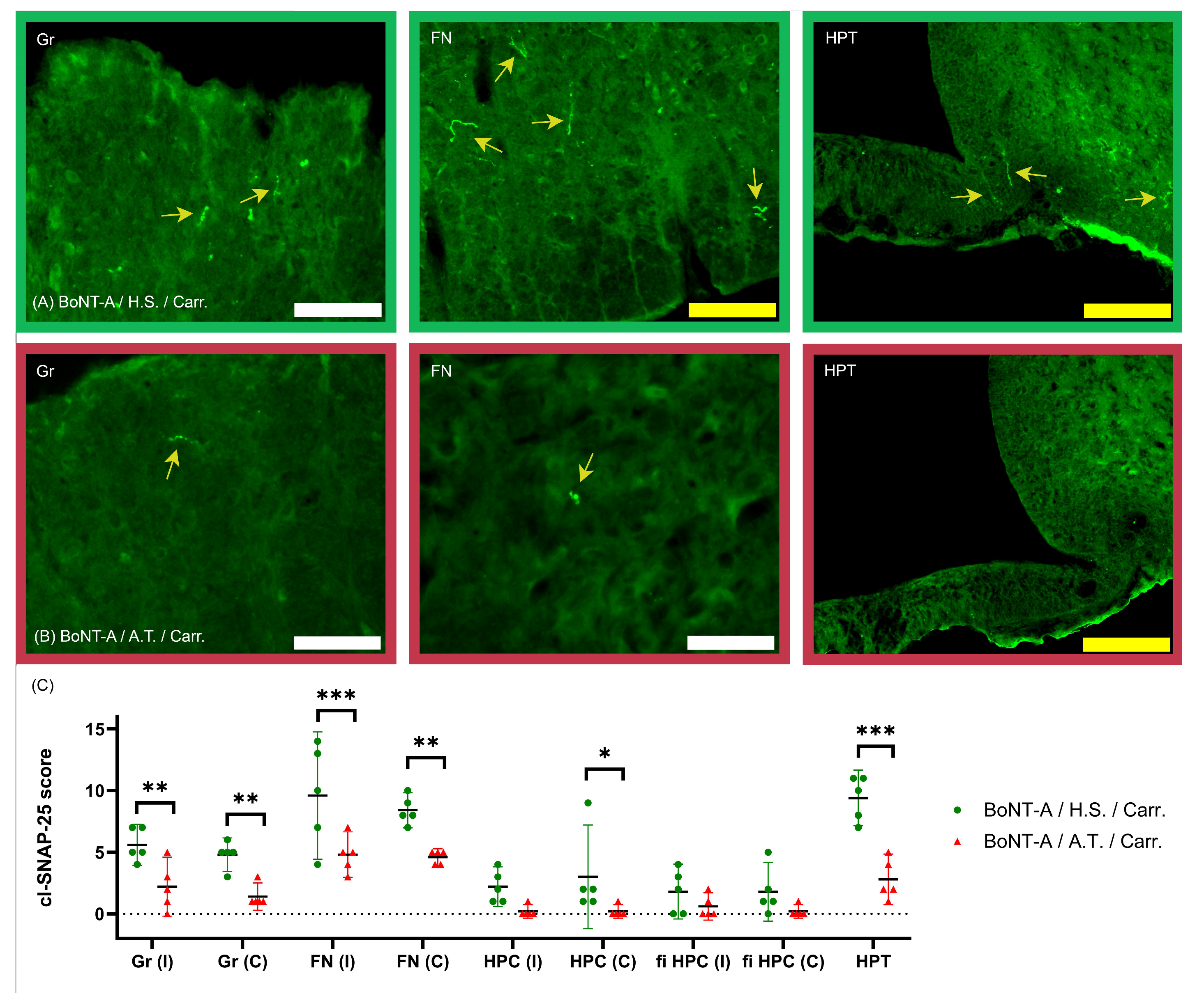 Toxins 18 00261 g003 Toxins 18 00261 g003
