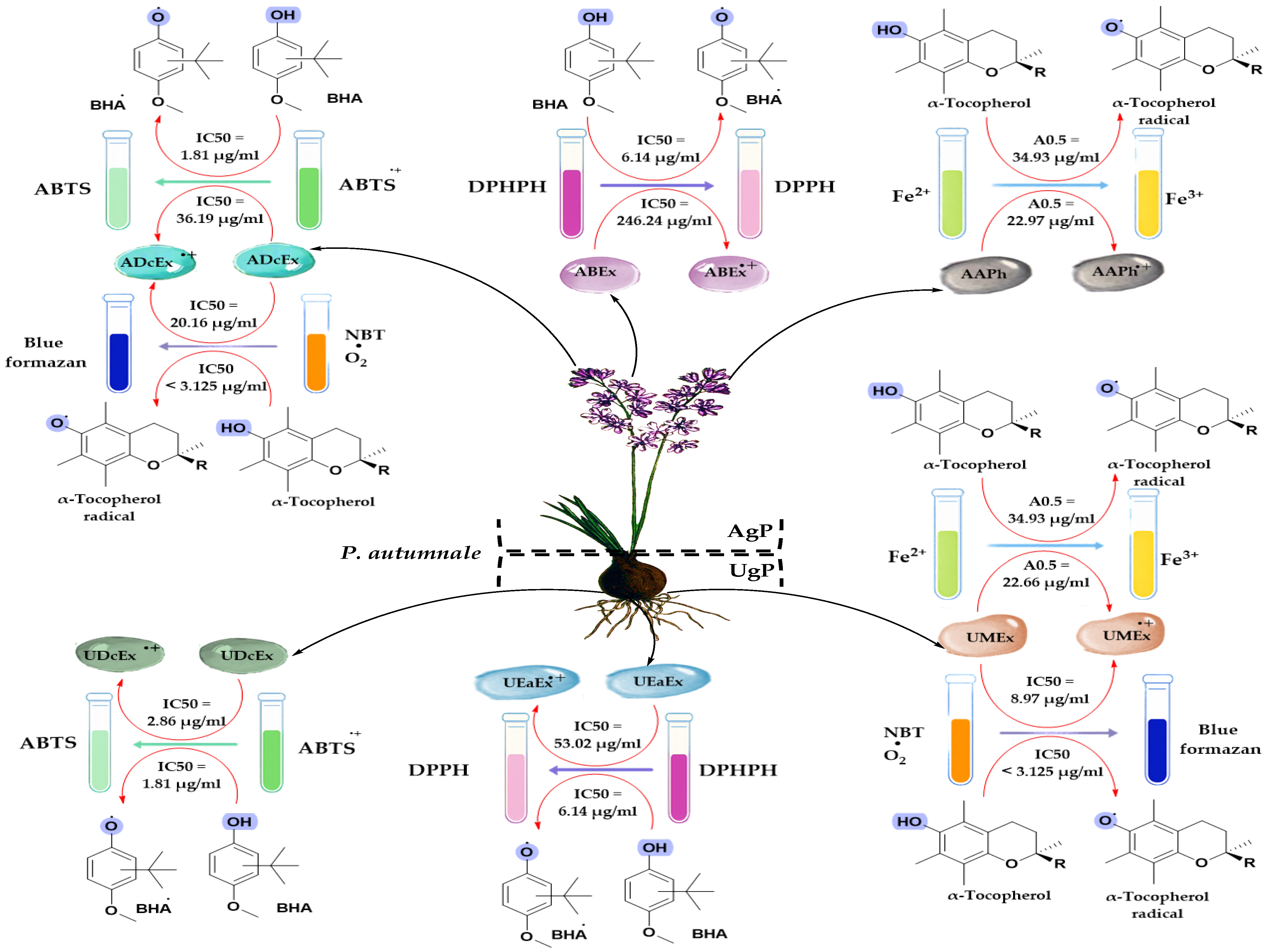 Toxins 18 00285 g004 Toxins 18 00285 g004