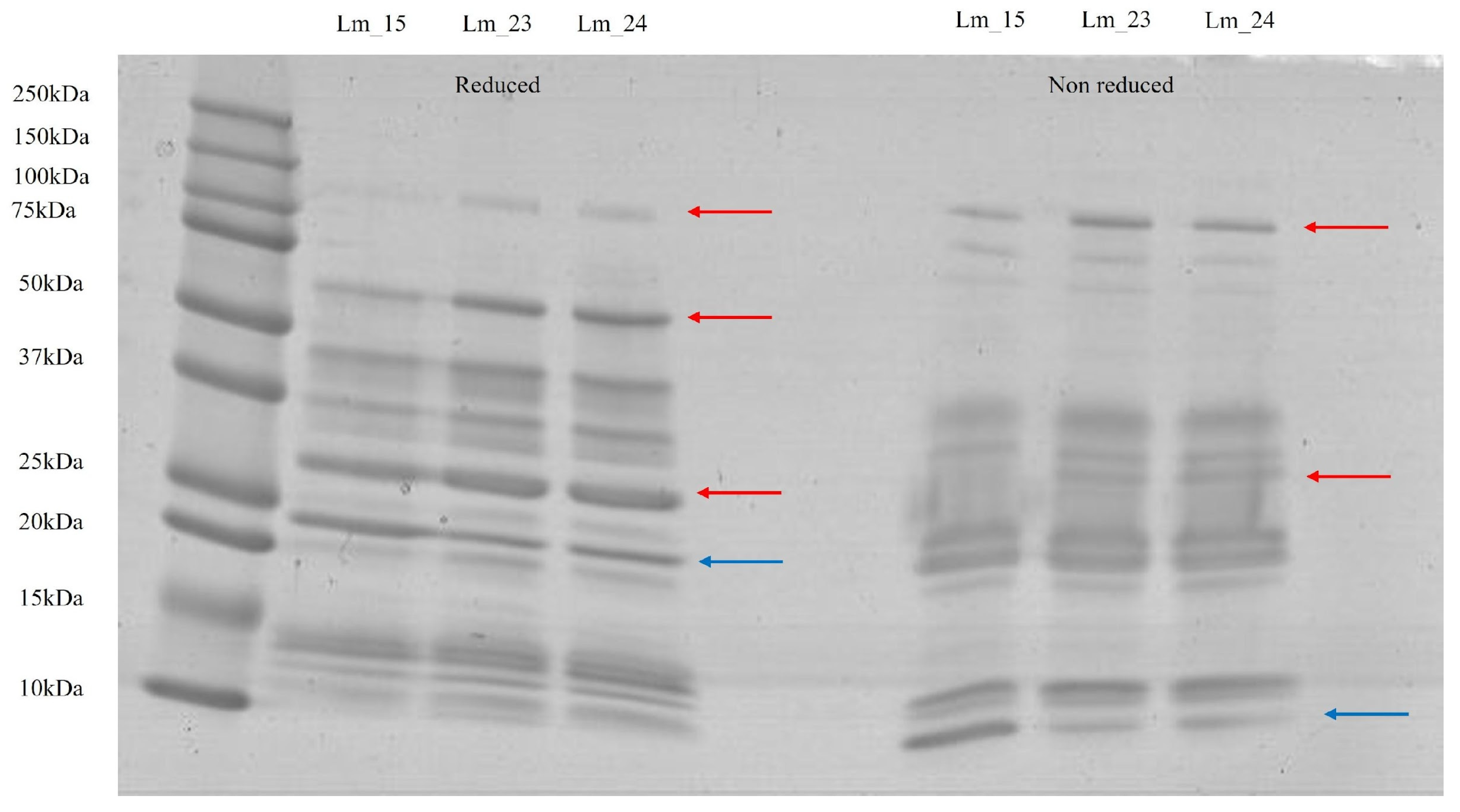 Toxins 18 00288 g001 Toxins 18 00288 g001