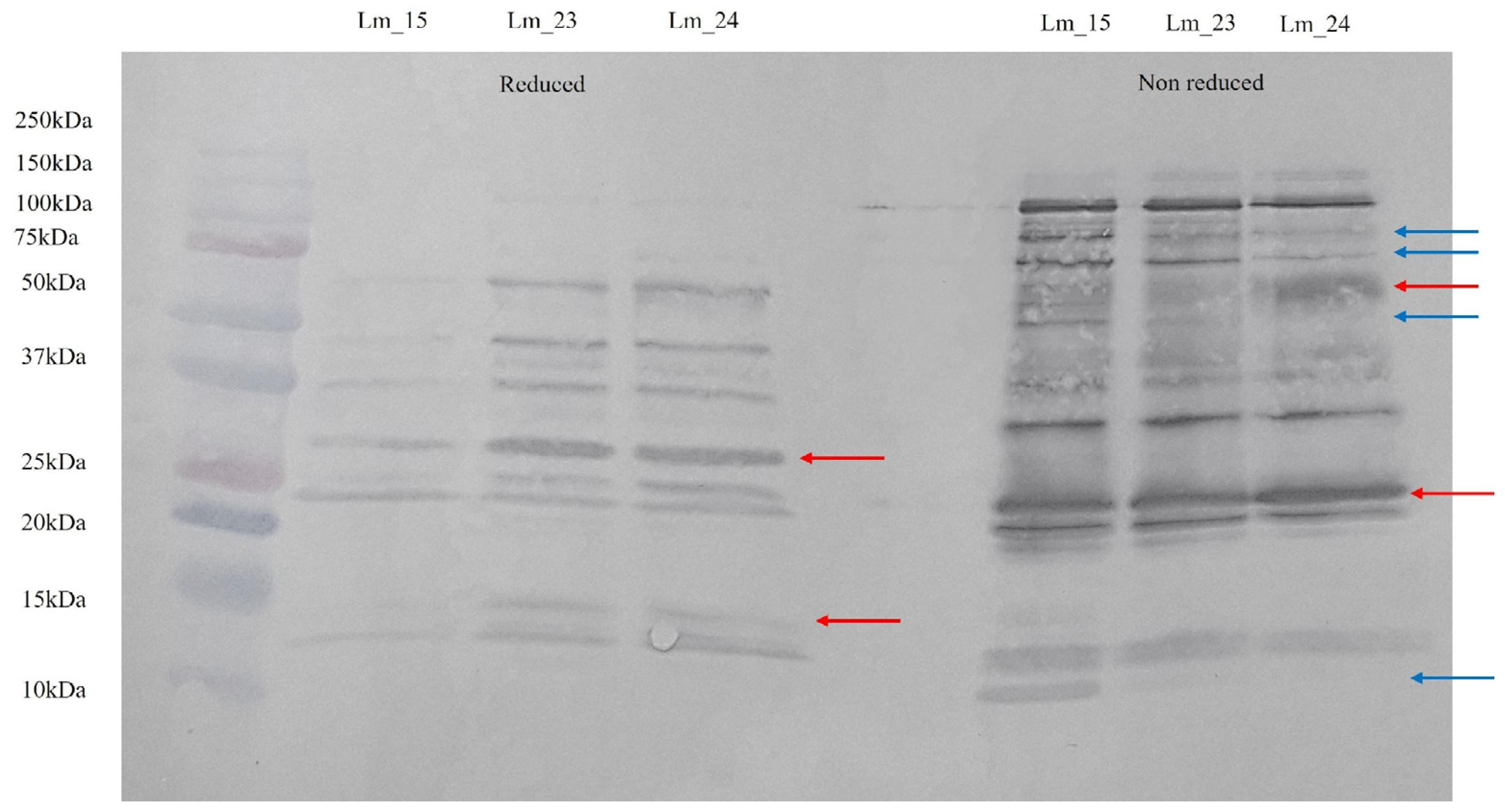 Toxins 18 00288 g003 Toxins 18 00288 g003