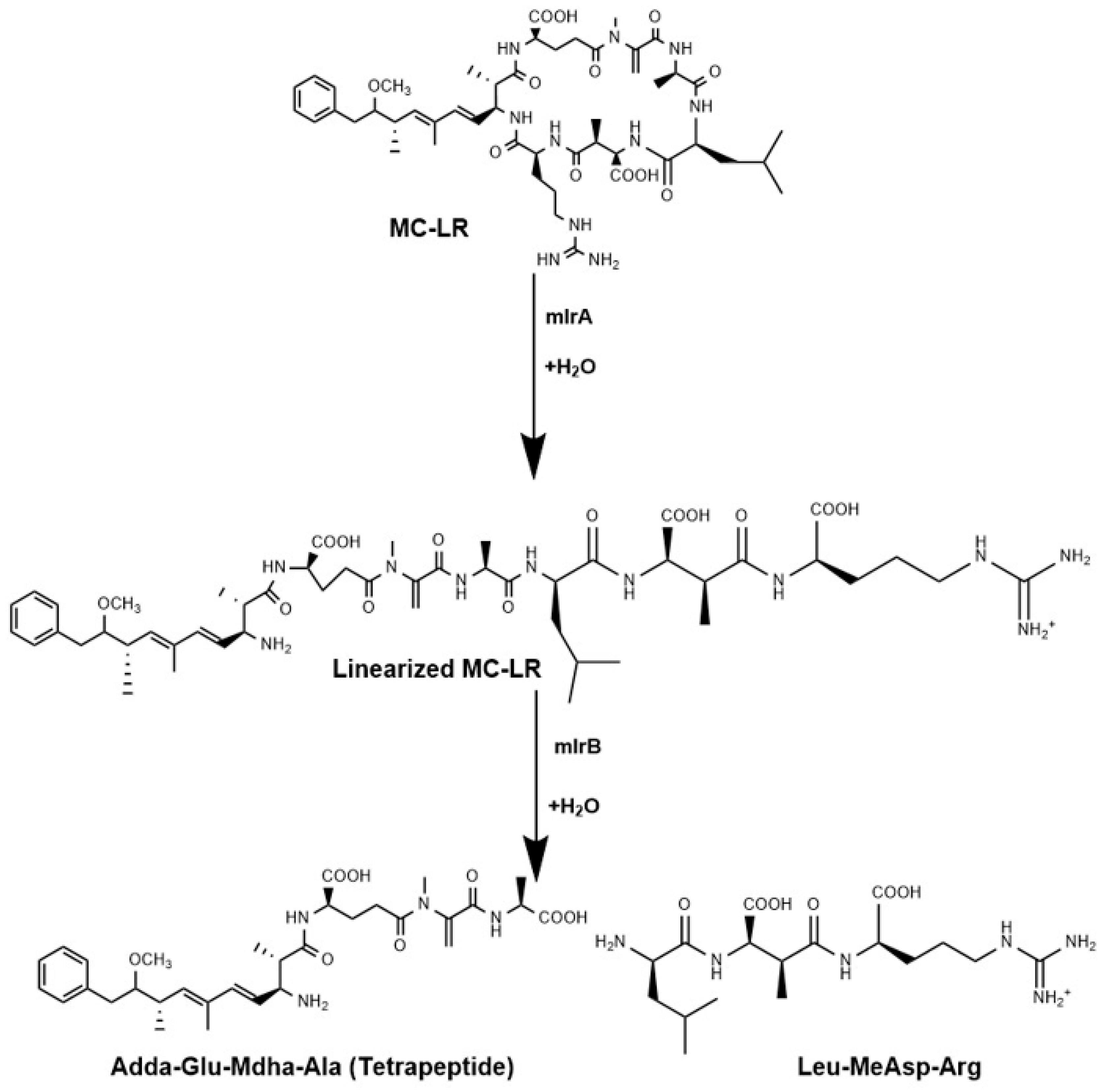 Toxins 18 00337 g003 Toxins 18 00337 g003