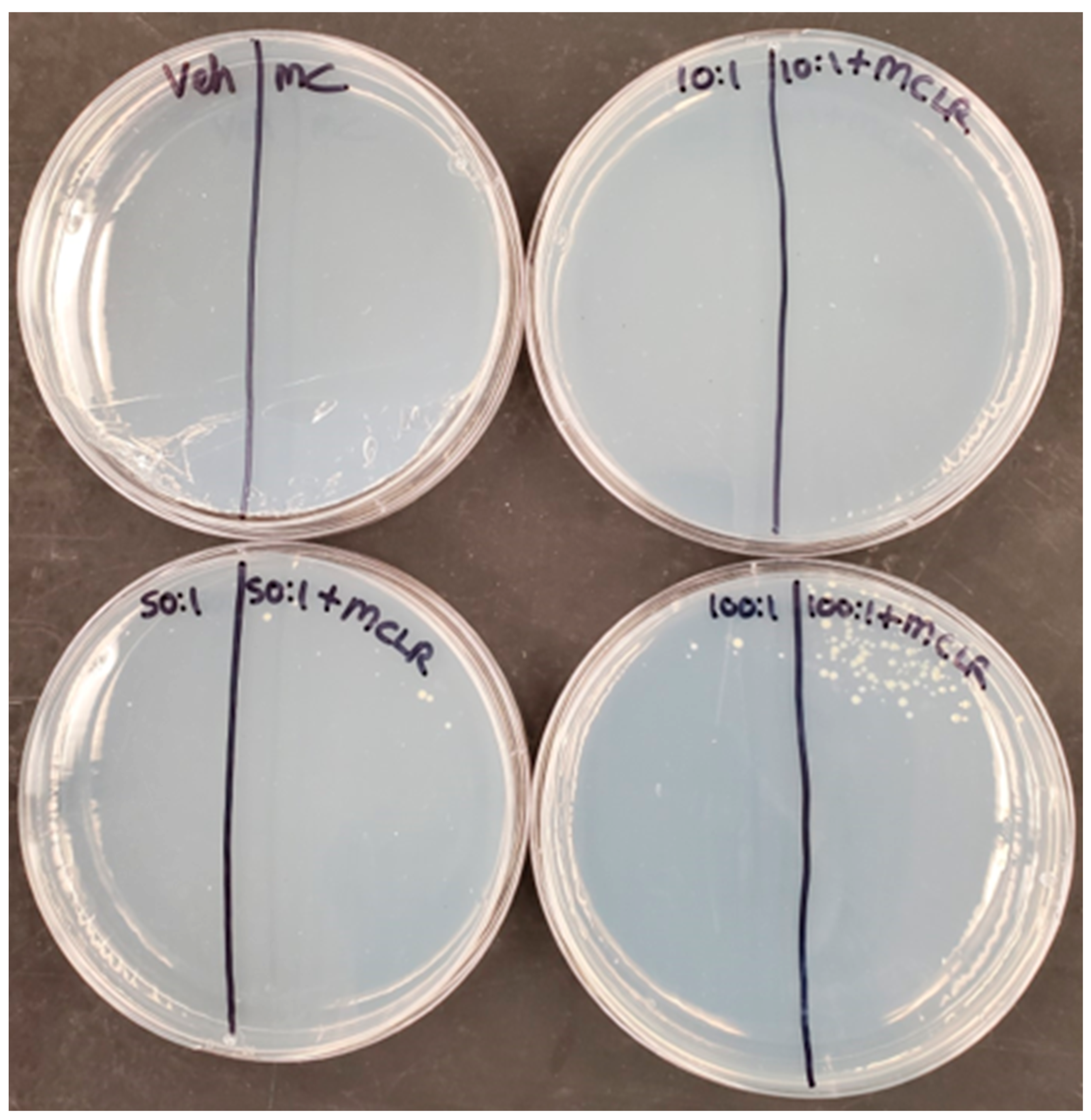 Toxins 18 00337 g004 Toxins 18 00337 g004