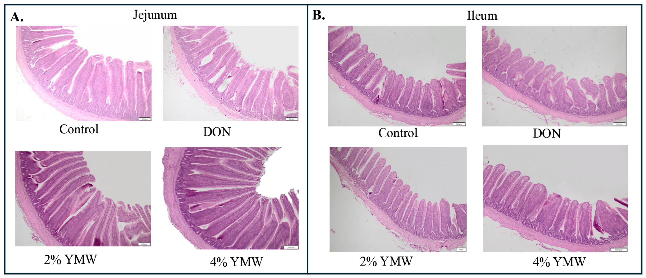 Toxins 18 00341 g004 Toxins 18 00341 g004